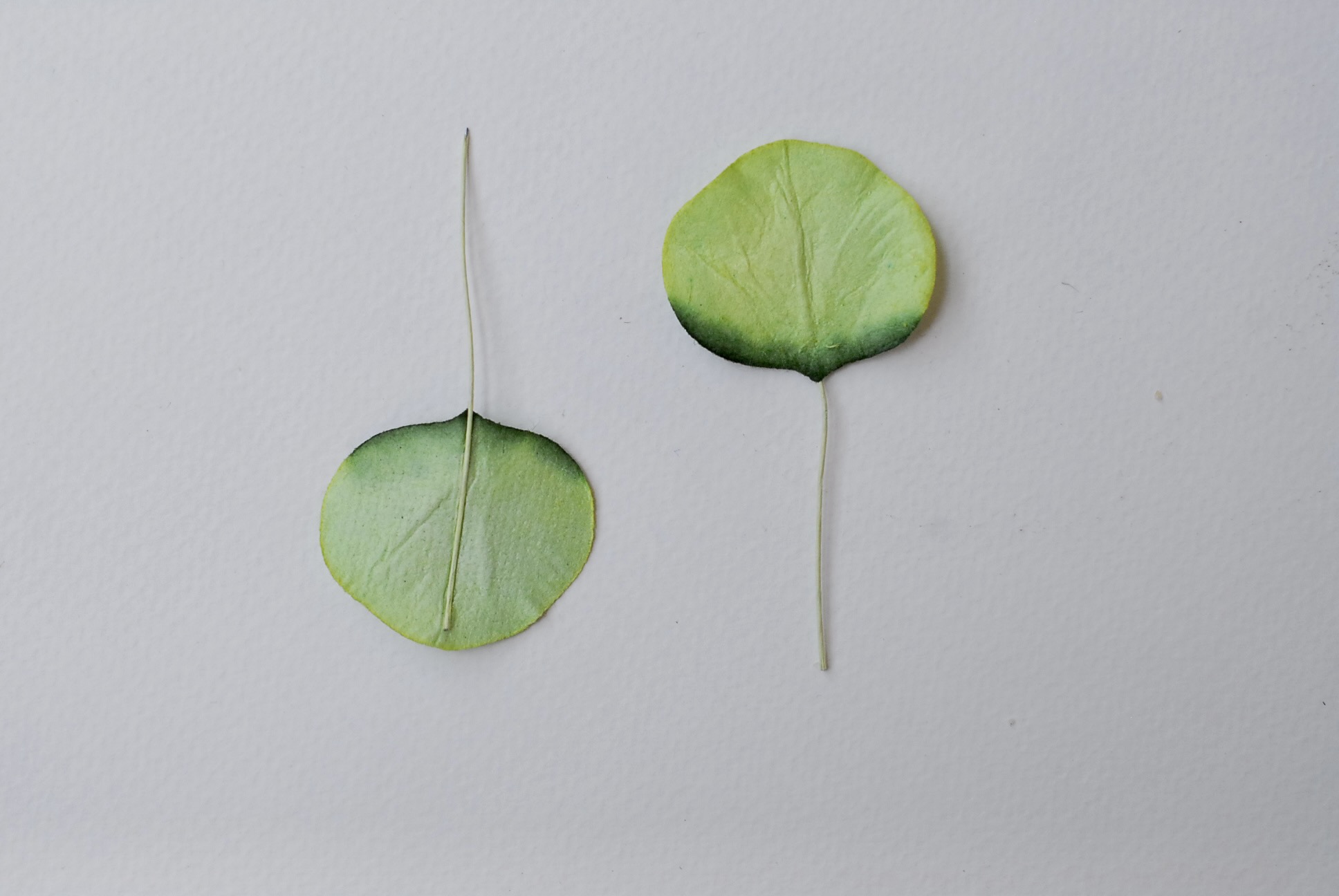 ใบไม้กระดาษ orbicular leaves ใบไม้กระดาษสา ราคาส่ง,ใบไม่้กลม กระดาษ สำหรับงานประดิษฐ์ ใบไม้ประดิษฐ์ สำหรับตกแต่ง หรืองานแต่งงาน สีเขียวสดปัดสีเข้ม ขนาด 3x3 cm. จำนวน 50 ใบ