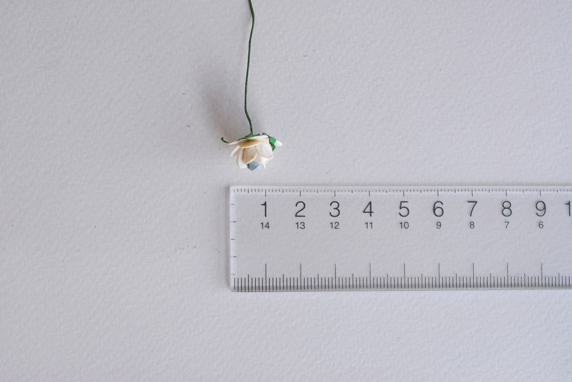 ซื้อ1 ห่อ แถม 1 ห่อ ดอกไม้กุหลาบกระดาษ ดอกไม้กระดาษสา, ดอกกุหลาบจิ๋ว, ดอกไม้กระดาษสาขายส่ง สีฟ้าตุ่น แถมสีฟ้าจุดขาว ขนาด 1.5 cm. จำนวน 100 ดอก Paper Flowers size 1.5 cm., mini roses pale blue color, 100 pcs. and get free 1 pack of blue sky-white color.