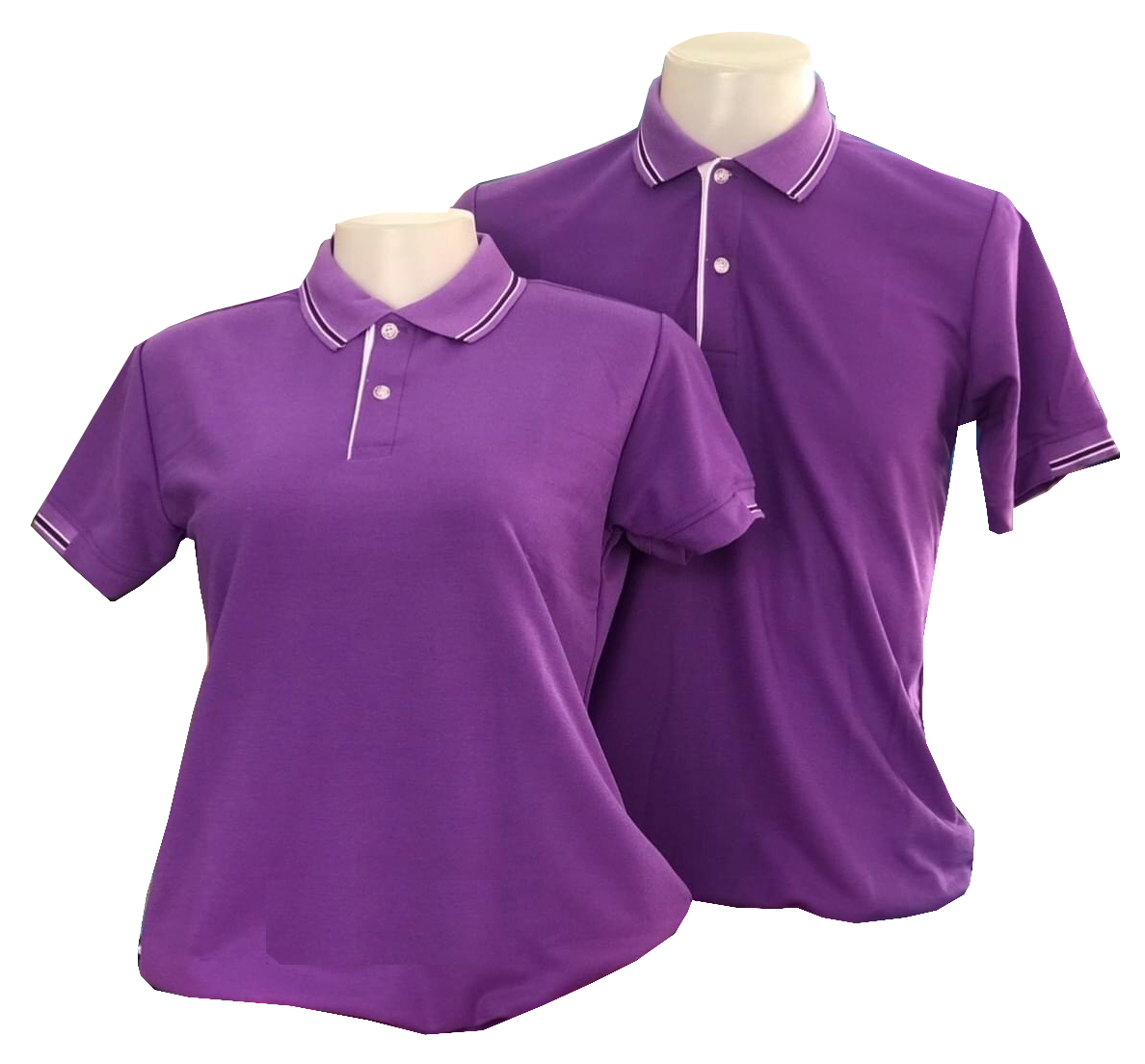 เสื้อโปโล สีม่วง มันม่วง ปก แขน ทอลายเส้นสีน้ำเงินกรมท่า สีขาว