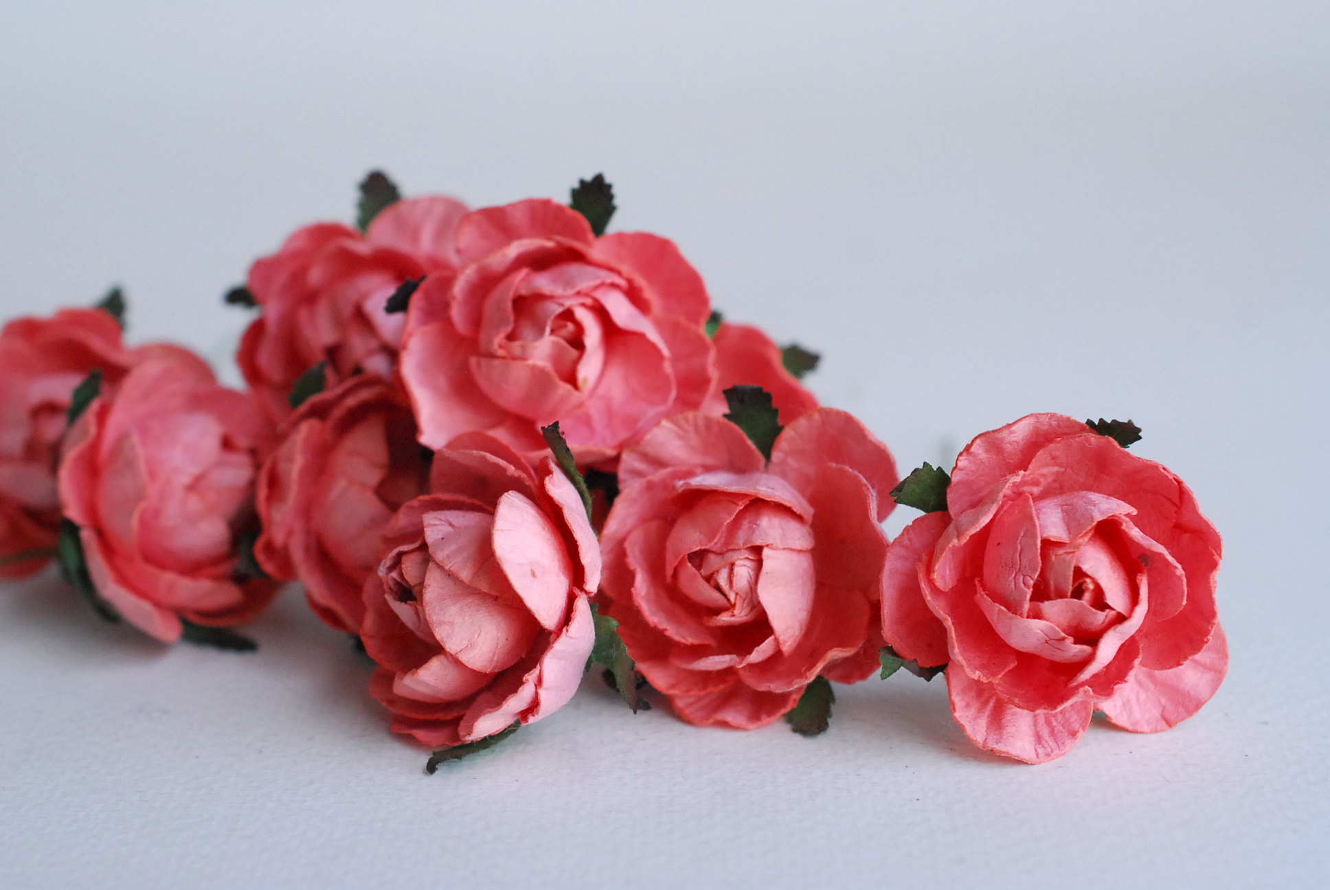 ดอกกุหลาบกระดาษสา peony ดอกไม้กระดาษสาราคาส่ง, ดอกไม้กระดาษ,ดอกไม้ประดิษฐ์ สำหรับตกแต่งของชำร่วย งานแต่งงาน ดอกกุหลาบกลม peony ขนาด 3.5 cm. จำนวน 25 ดอก, สีชมพูหวาน coral Paper Flowers, Peony flowers supplies size 3.5cm./ 25 pieces, handmade flowers. cora