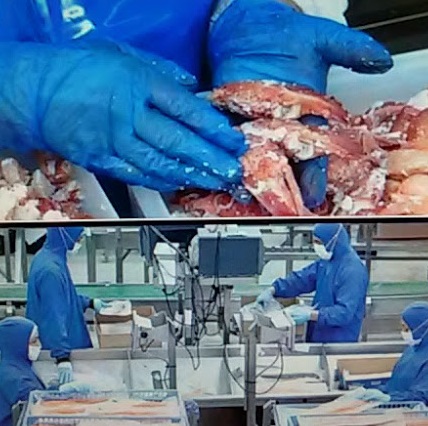 [ยกลัง 10 กล่อง] NDB55 ถุงมือไนไตรสีน้ำเงิน ไดมอนด์กริบ รุ่นหนา 4 มิล ยาว 9 นิ้ว หนัก 5.5 กรัม (100ชิ้น/กล่อง) แบรนด์ ดูราเซฟ