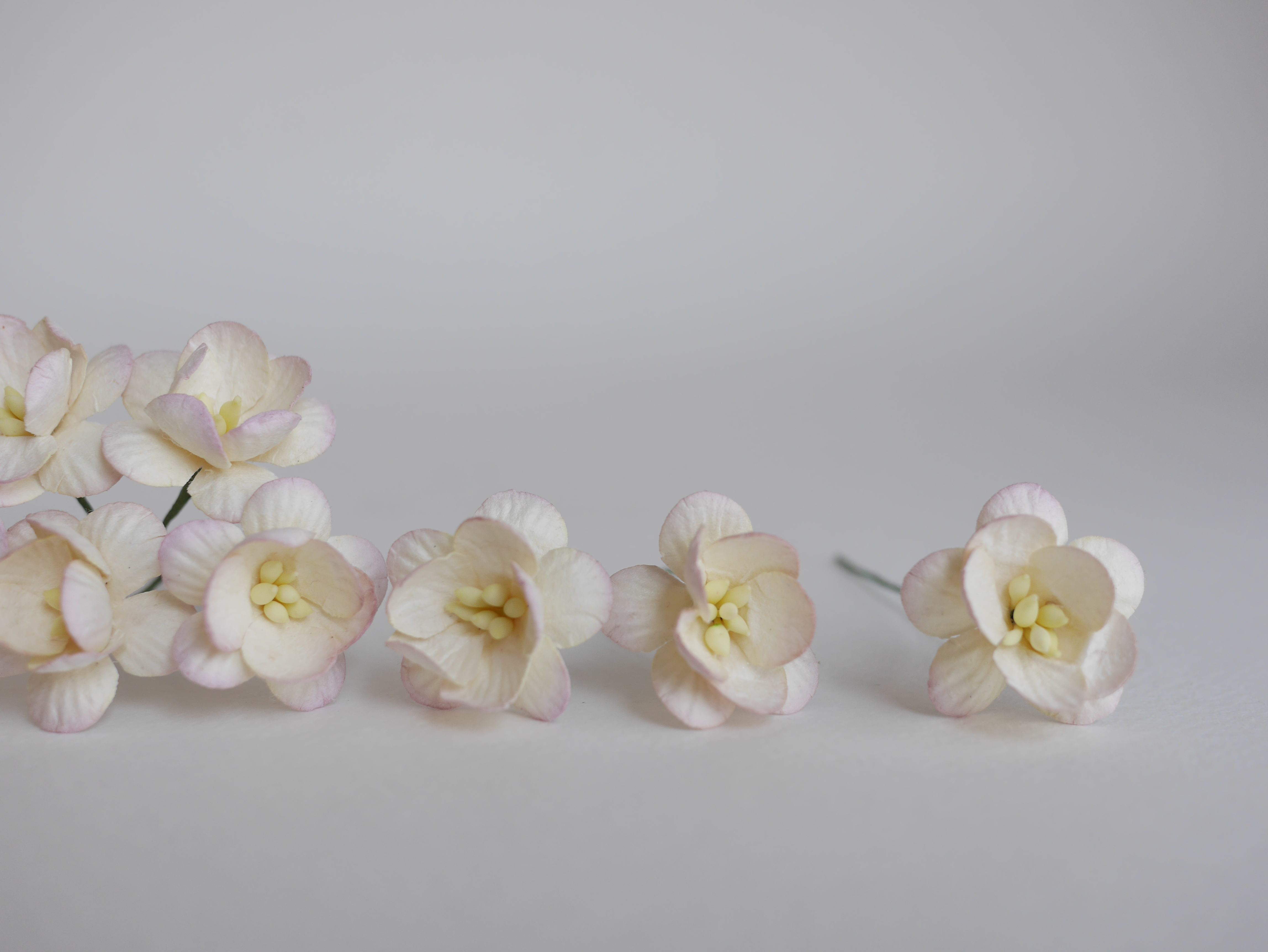 ดอกไม้กระดาษสา ดอกซากุระกระดาษ ดอกไม้กระดาษสาราคาส่ง ดอกไม้กระดาษสำหรับตกแต่งของชำร่วย งานแต่งงาน ทำช่อดอกไม้ติดอกเจ้าบ่าว ข้อมือดอกไม้เจ้าสาว ขนาด2.5 cm. 50 ดอก สีม่วงชมพูอ่อนปัดขาว Paper flowers supplies: DIY wedding tools Cherry blossom (Sakura) 50 pcs