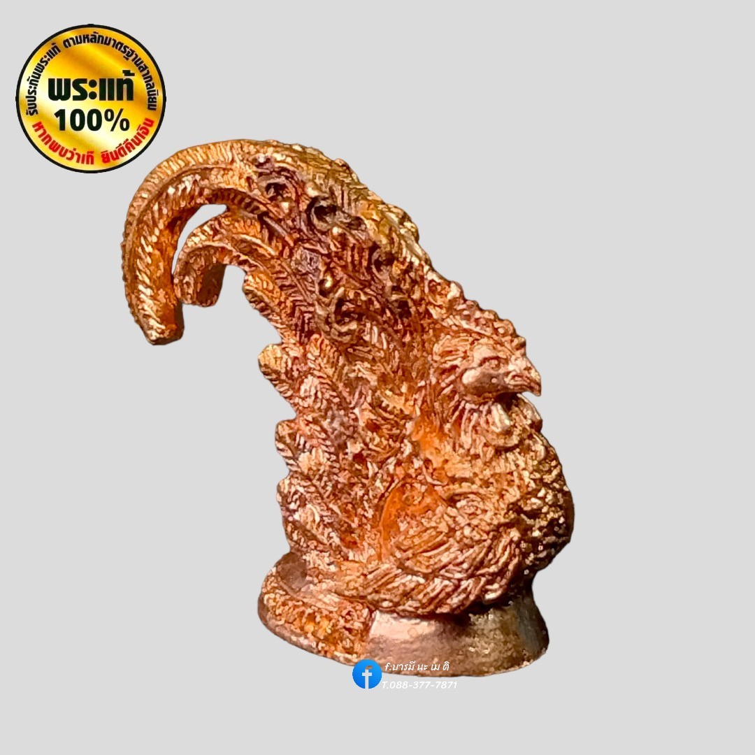 พญาไก่ โชคดี หลวงพ่อรวย ปาสาทิโก วัดตะโก