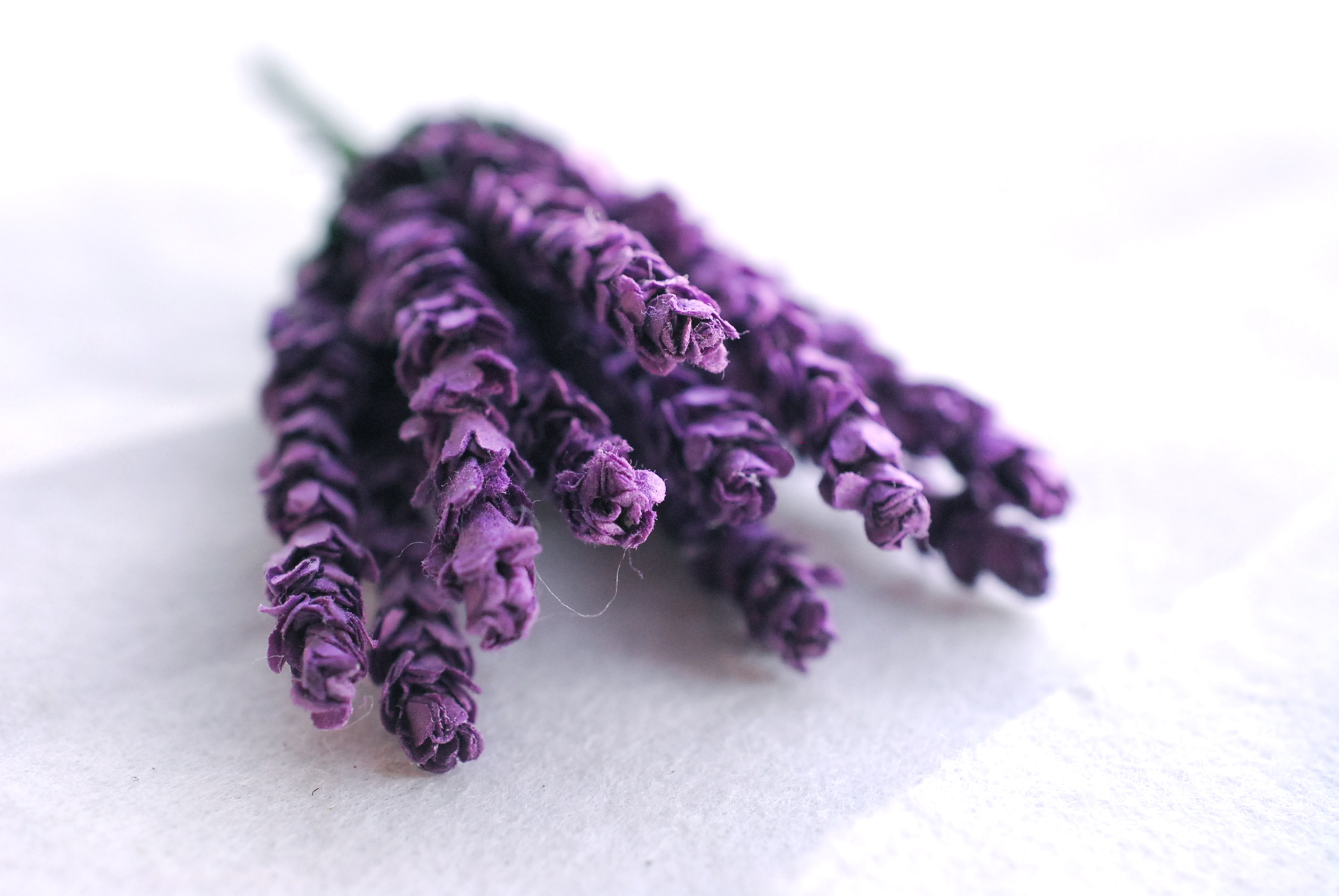 ดอกไม้ประดิษฐ์, ดอกไม้กระดาษสา, ดอก lavender, ดอกลาเวนเดอร์ กระดาษสา งานประดิษฐ์ตกแต่งของชำร่วย, ดอกไม้ทำพานพุ่ม, พานรับไหว้, ขนาด 1 cm. สีม่วงเข้ม dark purple lavender 10 ดอก