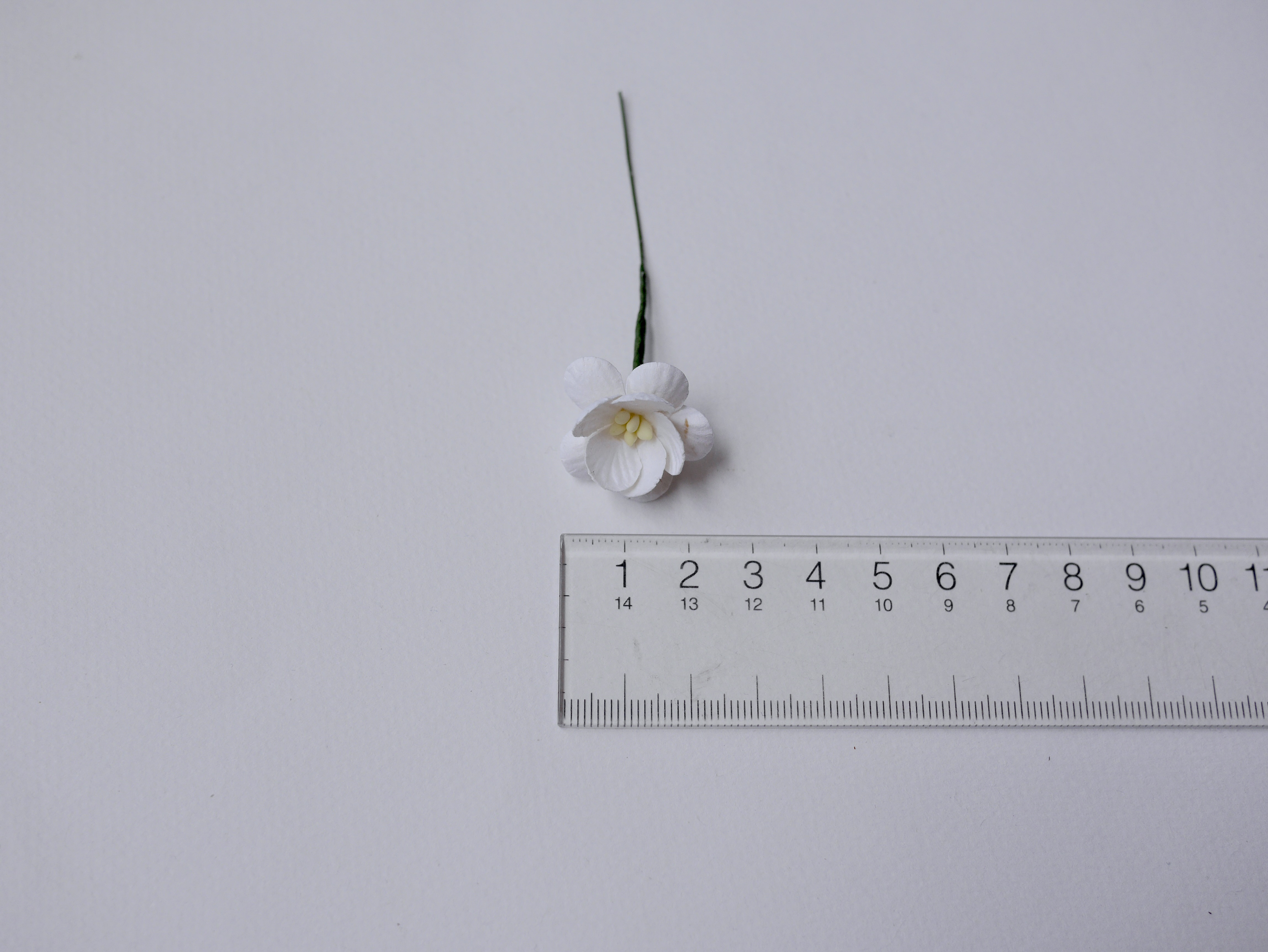 ดอกไม้กระดาษสา ดอกซากุระกระดาษ ขนาดเล็ก ดอกไม้กระดาษสาราคาส่ง ดอกไม้กระดาษสำหรับตกแต่งของชำร่วย งานแต่งงาน ทำช่อดอกไม้ติดอกเจ้าบ่าว ข้อมือดอกไม้เจ้าสาว ขนาด2.5 cm. 50 ดอก สีขาว white Paper flowers supplies: DIY wedding tools small Cherry blossom (Sakura)