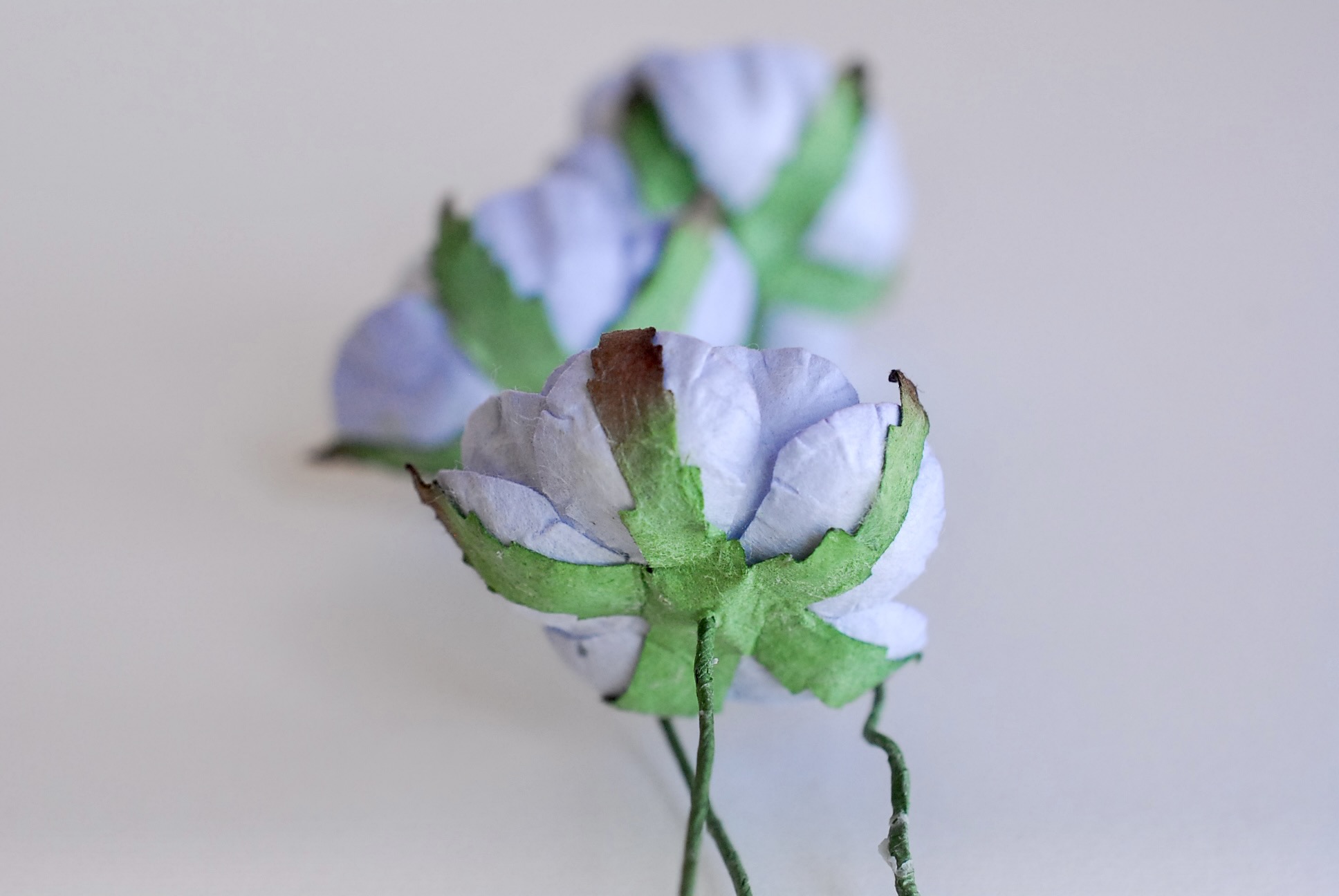 ดอกไม้กระดาษสาราคาส่ง, ดอกไม้กระดาษ,สำหรับตกแต่งของชำร่วย งานแต่งงาน ดอกกุหลาบกลม peony ขนาด 3.5 cm. จำนวน 25 ดอก, สีน้ำเงินตุ่น Paper Flowers, Peony flowers supplies size 3.5 cm./ 25 pieces, handmade flowers, peony pale blue color.