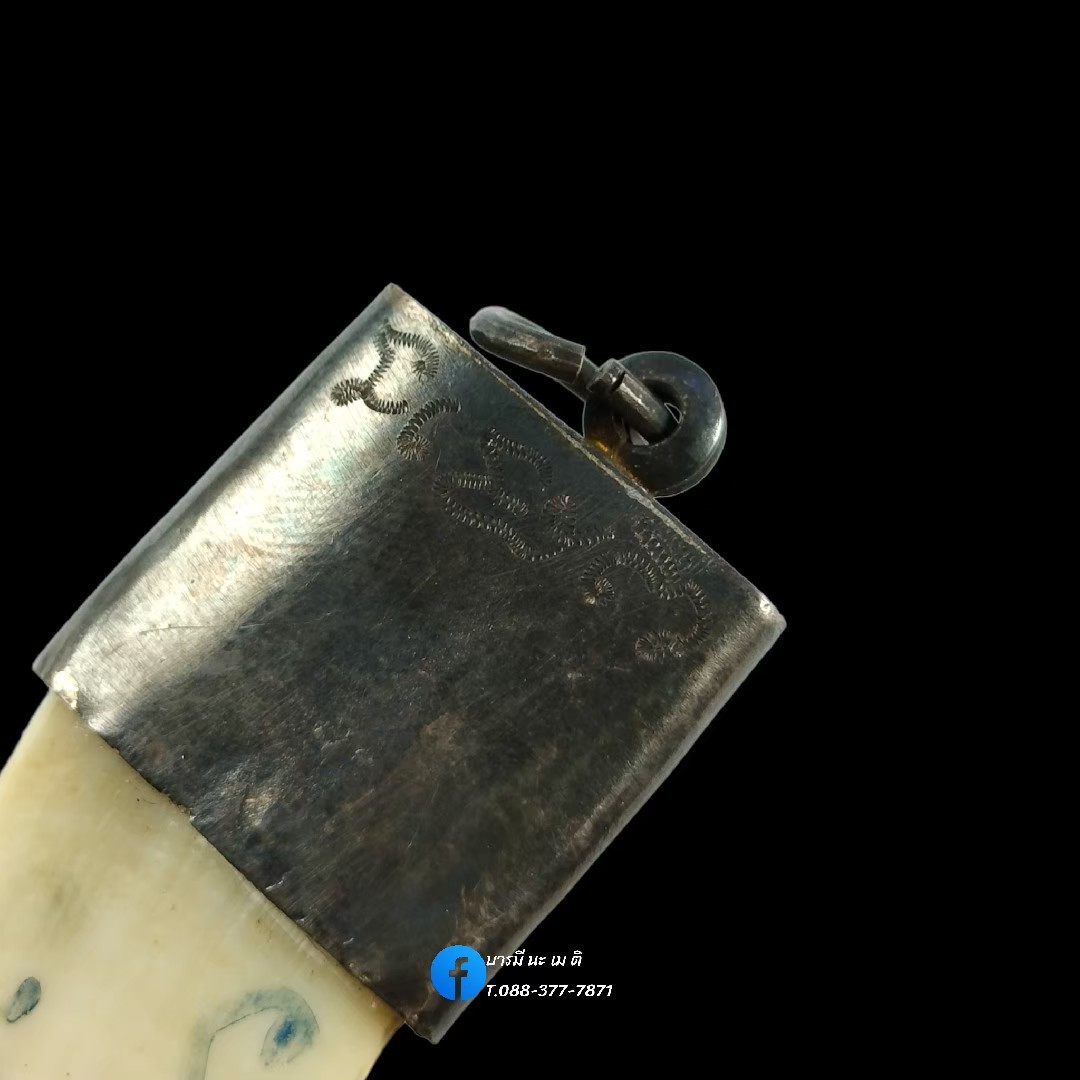 เขี้ยวหมูป่าพลิกแผ่นดิน