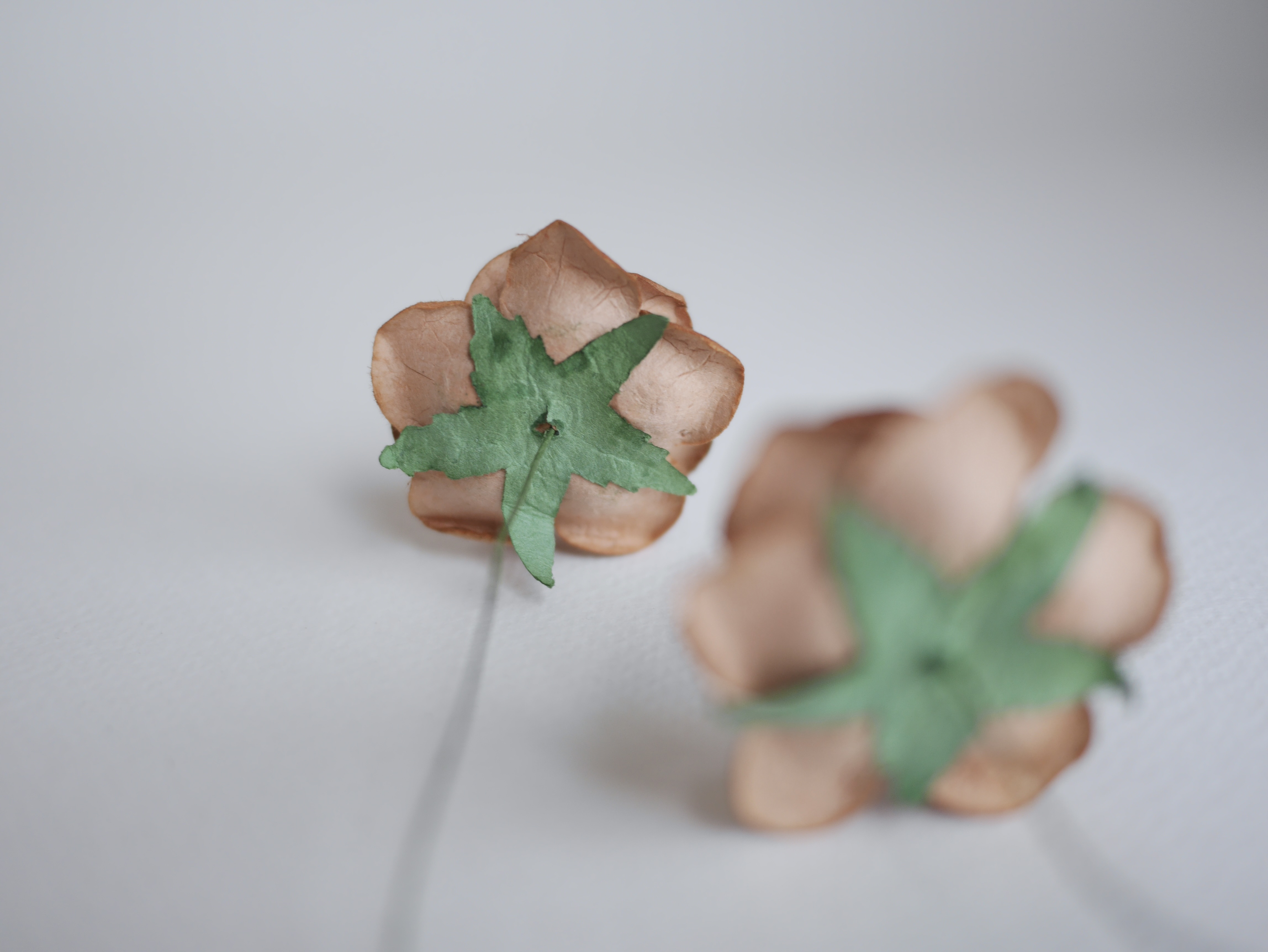 ดอกไม้กระดาษสา ดอกกุหลาบกระดาษสา ดอกไม้กุหลาบ กลีบโค้ง ดอกไม้ประดิษฐ์ สำหรับตกแต่ง หรืองานแต่งงาน สีน้ำตาลกลาง ขนาด 3.5 cm. จำนวน 25 ดอก Paper flowers, handmade flowers, DIY supplies small roses paper size 3.5 cm. 25 pieces, medium brown color.