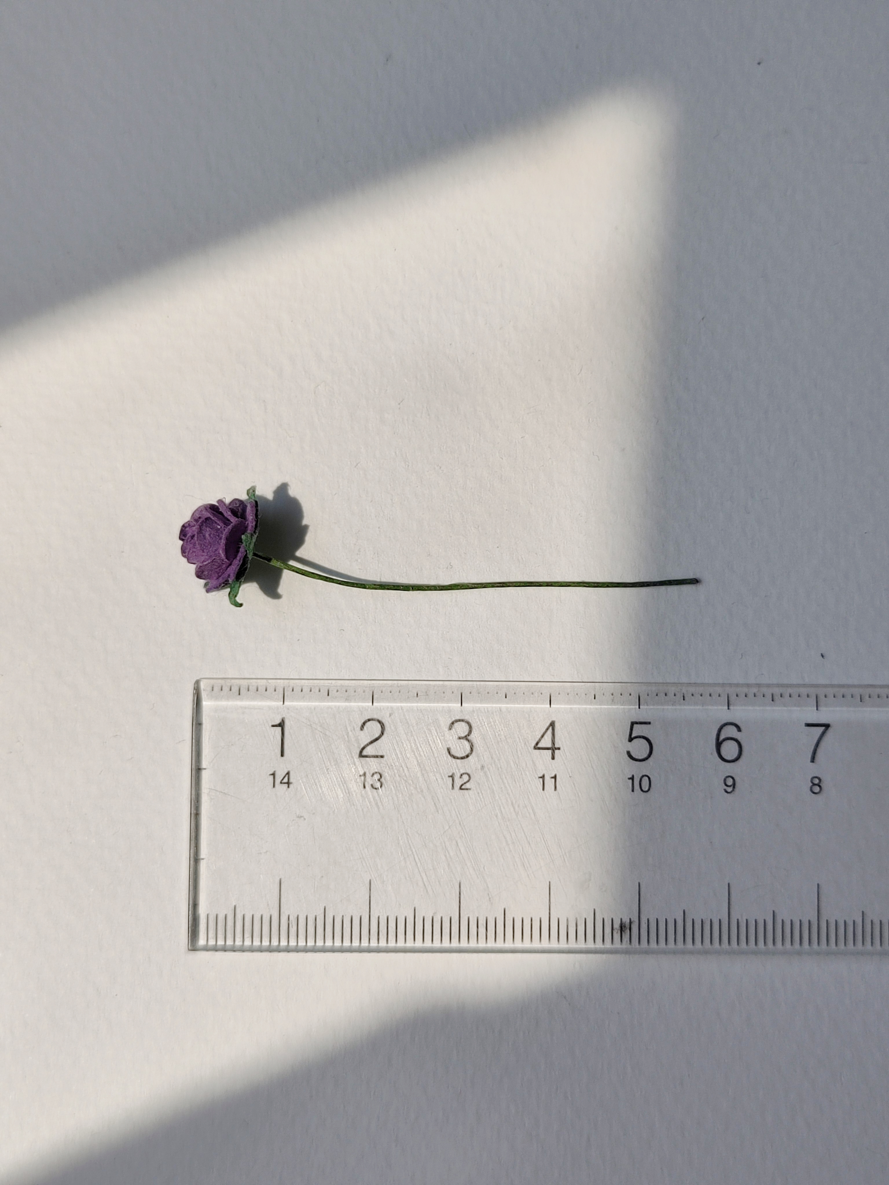 ดอกไม้กระดาษสาสำหรับตกแต่ง ของชำร่วย ดอกกุหลาบจิ๋วกระดาษสา สีม่วงเข้ม ขนาด 1 cm. จำนวน 100 ดอก/1 ถุง