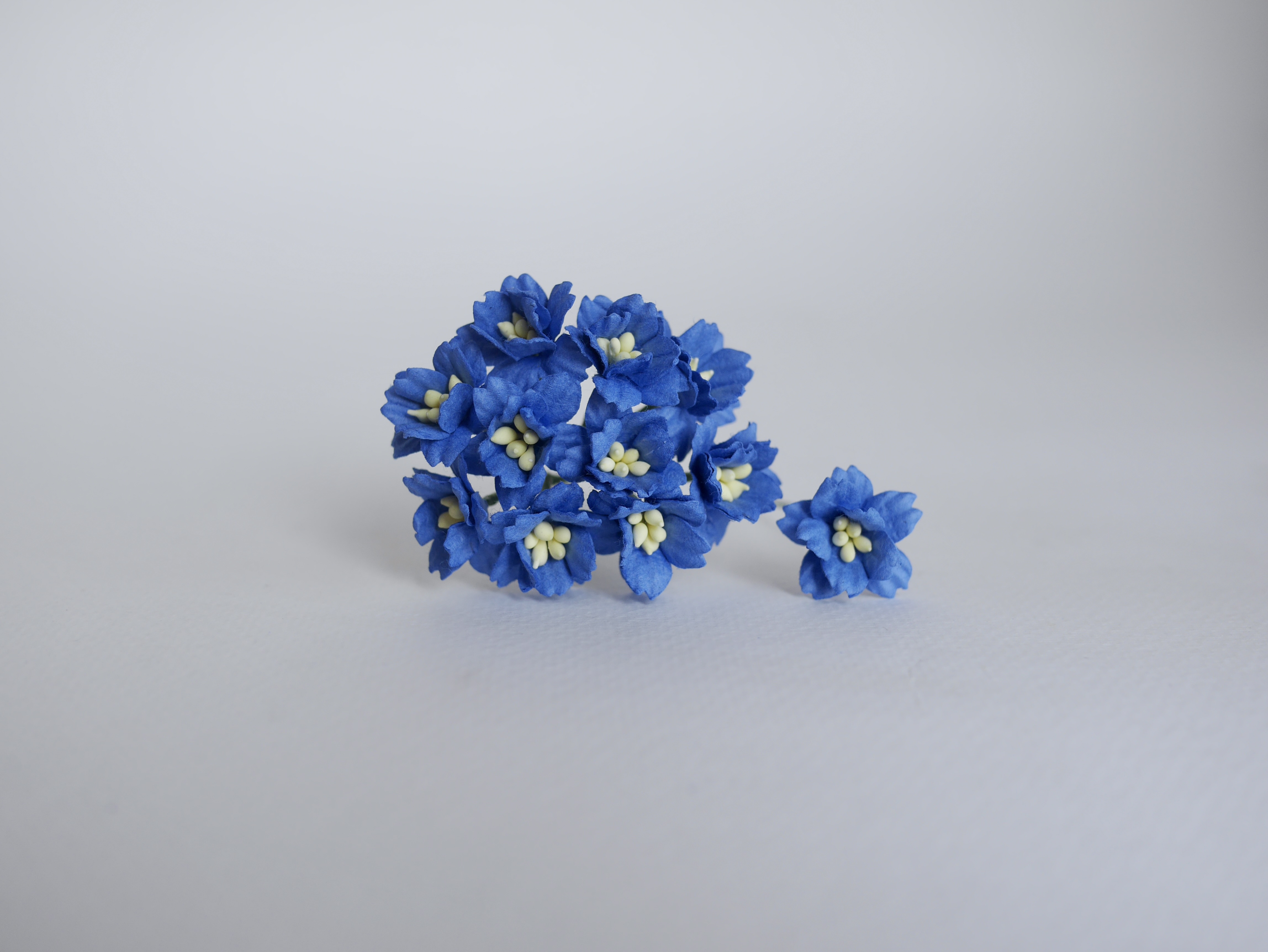 ดอกไม้กระดาษสา ดอกซากุระกระดาษ ขนาดเล็ก ดอกไม้กระดาษสาราคาส่ง ดอกไม้กระดาษสำหรับตกแต่งของชำร่วย งานแต่งงาน ทำช่อดอกไม้ติดอกเจ้าบ่าว ข้อมือดอกไม้เจ้าสาว ขนาด2.0 cm. 50 ดอก สีน้ำเงินน้ำทะเล Paper flowers supplies: DIY wedding tools small Cherry blossom