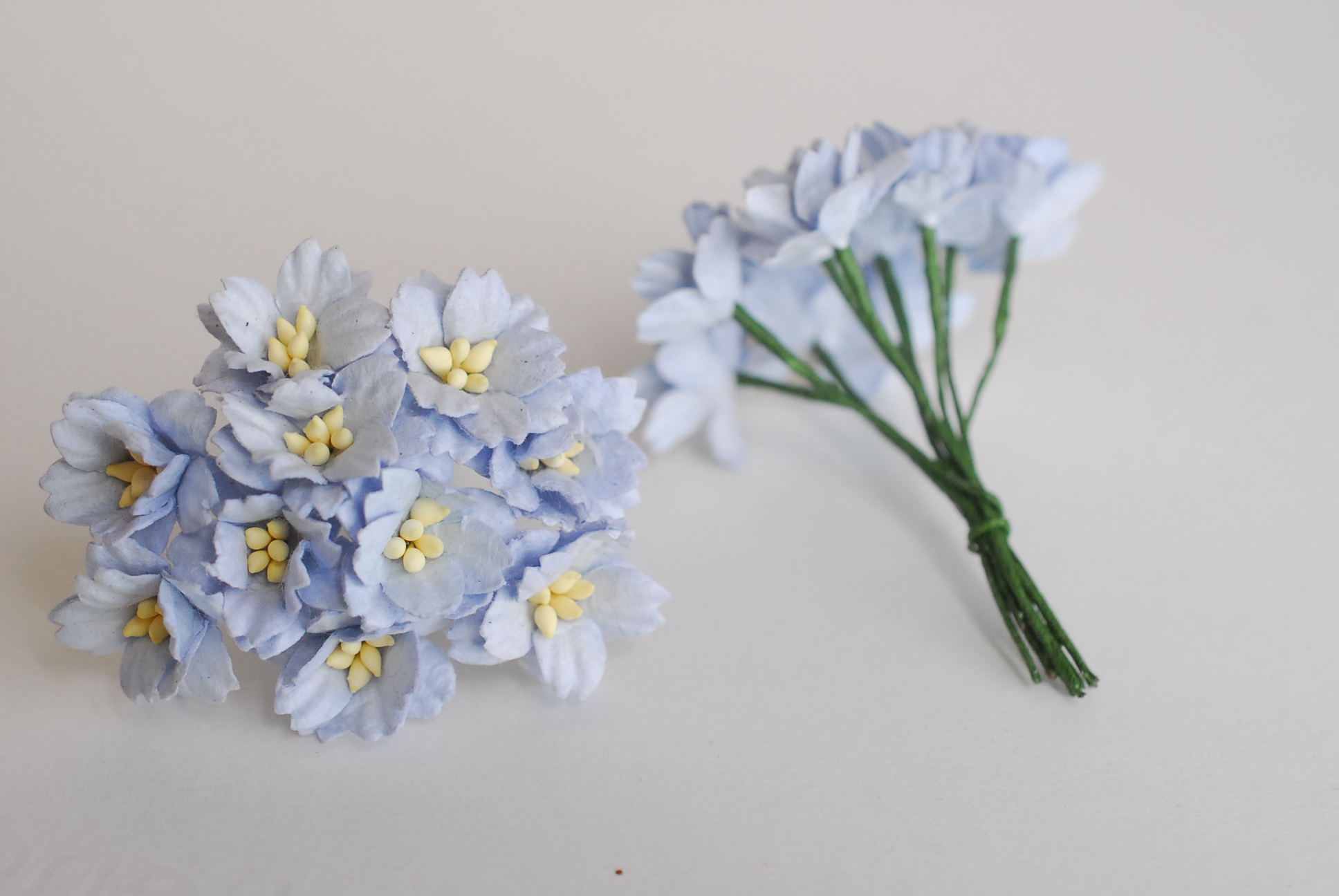 ดอกไม้กระดาษสา ดอกซากุระกระดาษ ขนาดเล็ก ดอกไม้กระดาษสาราคาส่ง ดอกไม้กระดาษสำหรับตกแต่งของชำร่วย งานแต่งงาน ทำช่อดอกไม้ติดอกเจ้าบ่าว ข้อมือดอกไม้เจ้าสาว ขนาด2.0 cm. 50 ดอก สีฟ้าตุ่น Paper flowers supplies: DIY wedding tools small Cherry blossom (Sakura) 50