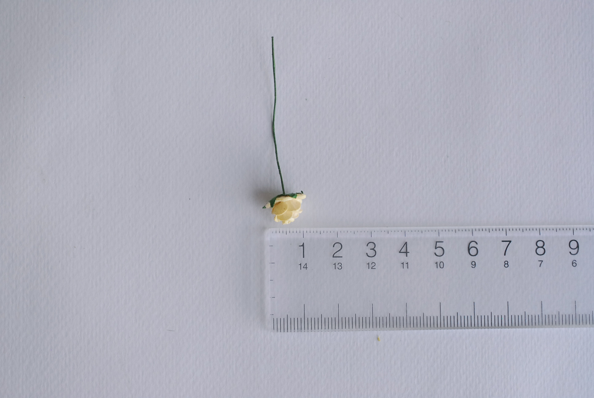 ดอกไม้กระดาษสาสำหรับตกแต่ง ของชำร่วย ดอกกุหลาบ กระดาษสา สีครีมเหลือง #147 ขนาด 1 cm. จำนวน 100 ดอก/1 ถุง