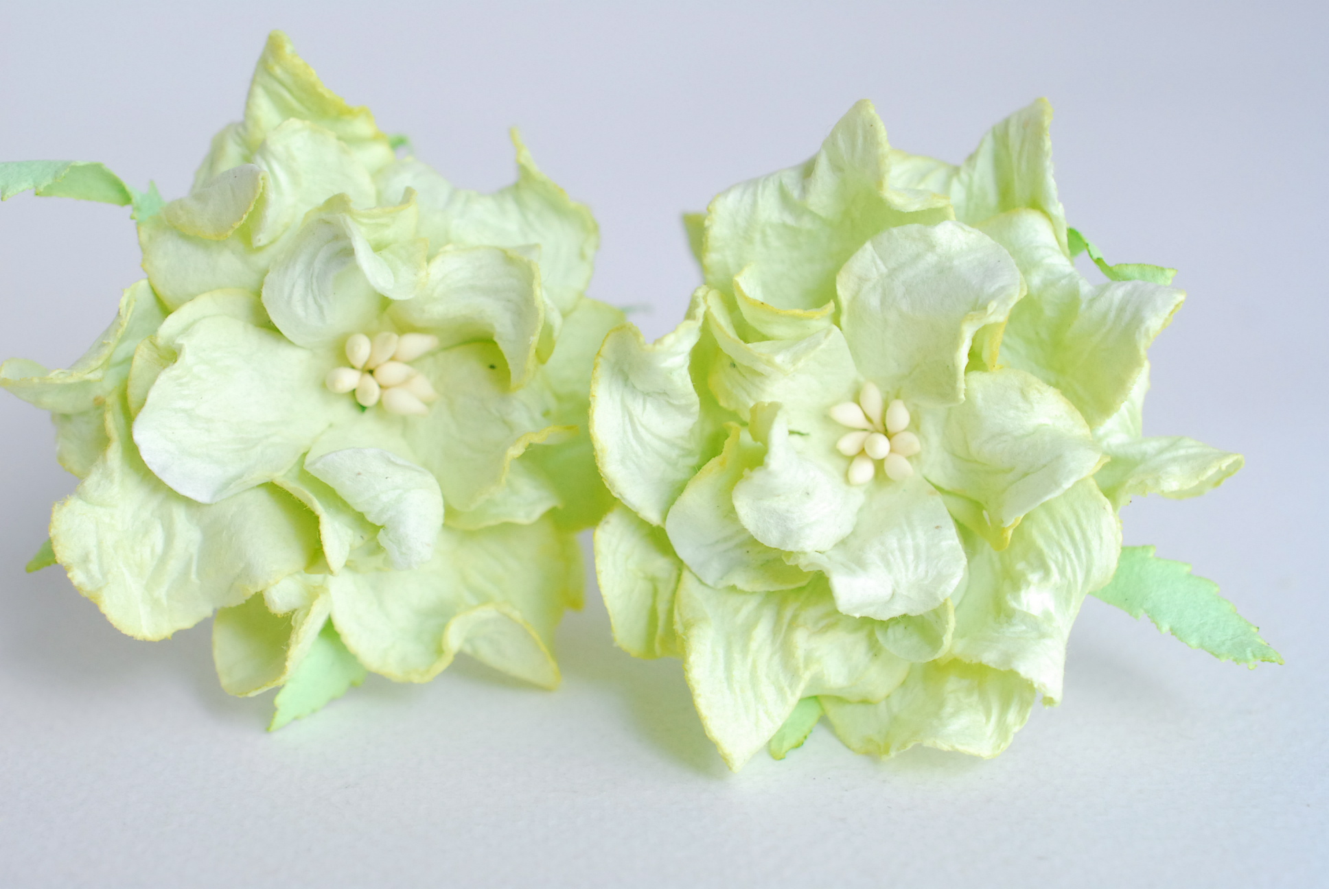 ดอกไม้กระดาษสา ราคาส่ง, ดอกการเดนเนียกระดาษสา ดอกไม้ประดิษฐ์ ตกแต่งงานแต่งงาน ประดิษฐ์ข้อมือเพื่อนเจ้าสาว ขนา่ด 5.5 cm., สำหรับของชำร่วย, งานแต่งงาน, ดอกไม้ทำข้อมือเจ้าสาว สีเขียวอ่อน จำนวน 25 ดอก Paper flower,25 Pieces mulberry gardenia flowers suppiles