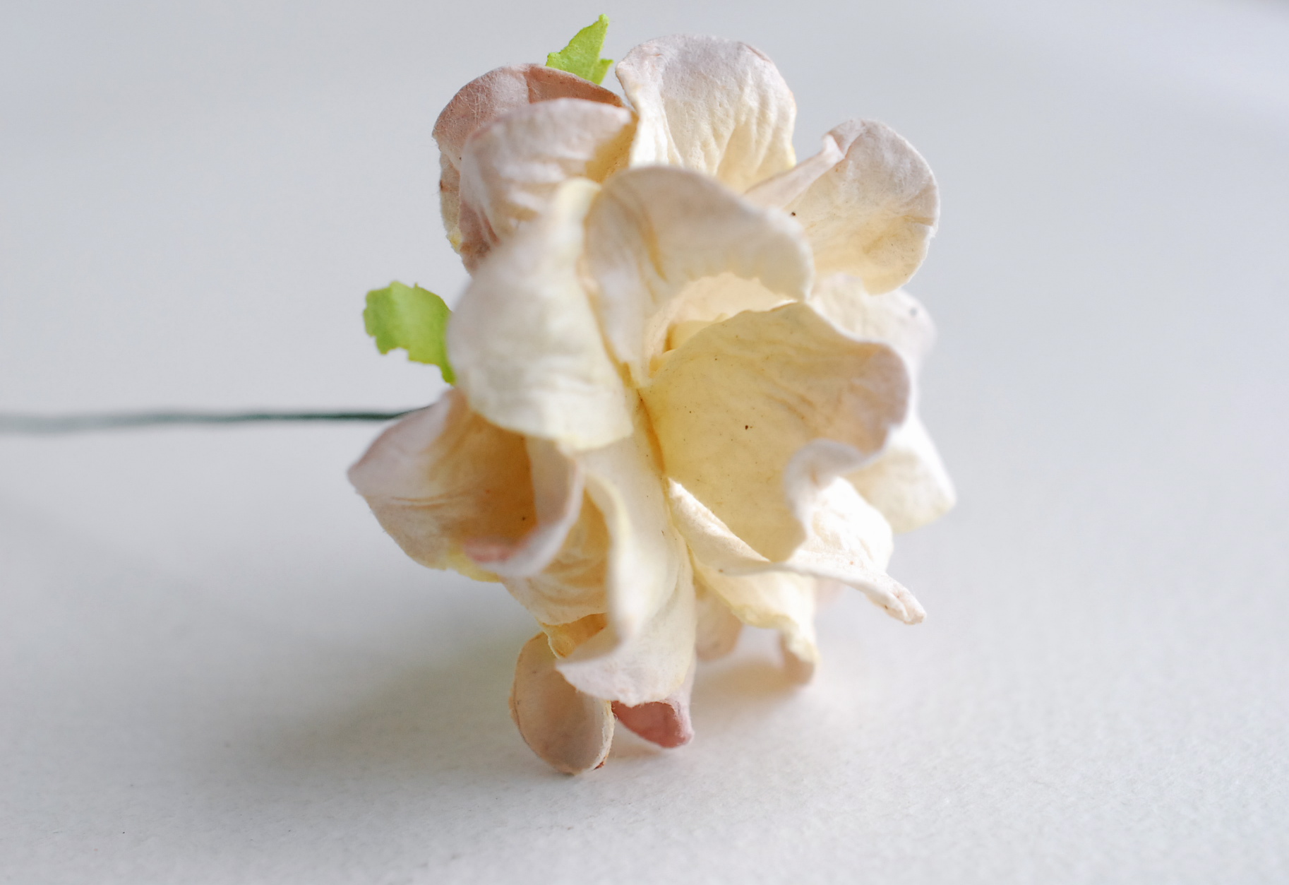 ดอกไม้กระดาษสา ราคาส่ง, ดอกการเดนเนียกระดาษสา ดอกไม้ประดิษฐ์ ตกแต่งงานแต่งงาน ประดิษฐ์ข้อมือเพื่อนเจ้าสาว ขนา่ด 3.5 cm., สำหรับของชำร่วย, งานแต่งงาน, ดอกไม้ทำข้อมือเจ้าสาว สีครีมปัดม่วงอ่อน จำนวน 25 ดอก Paper flower,25 Pieces mulberry gardenia flowers sup