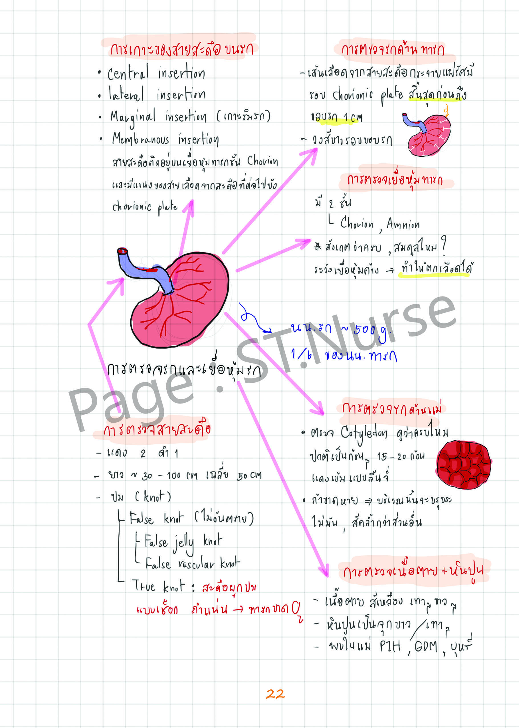 Shortnote การพยาบาลผดุงครรภ์
