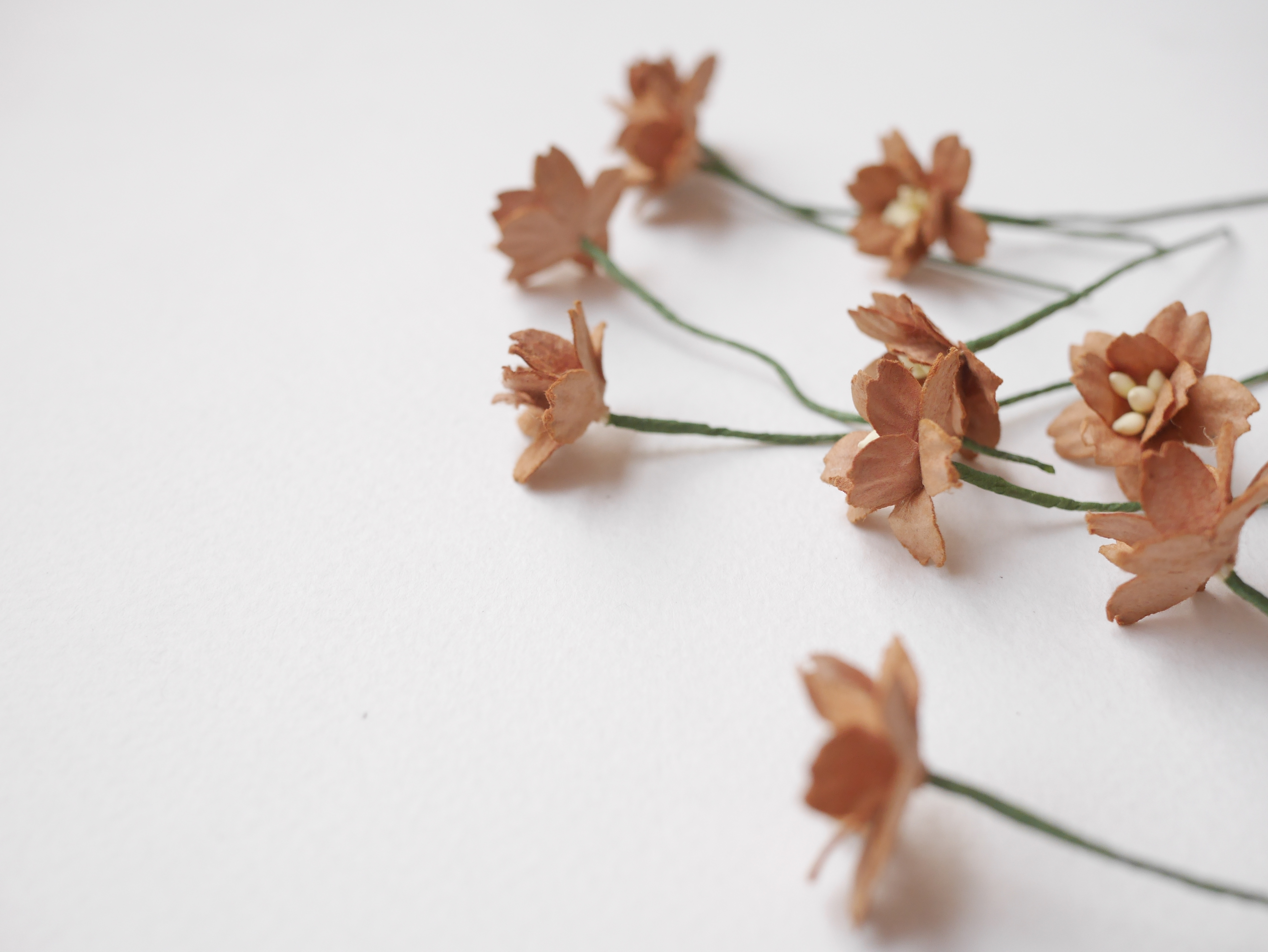 ดอกไม้กระดาษสา ดอกซากุระกระดาษ ขนาดเล็ก ดอกไม้กระดาษสาราคาส่ง ดอกไม้กระดาษสำหรับตกแต่งของชำร่วย งานแต่งงาน ทำช่อดอกไม้ติดอกเจ้าบ่าว ข้อมือดอกไม้เจ้าสาว ขนาด2.0 cm. 50 ดอก สีน้ำตาล Paper flowers supplies: DIY wedding tools small Cherry blossom (Sakura)