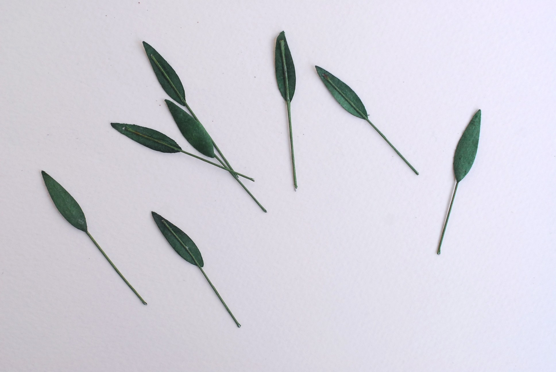 ใบไม้กระดาษ ใบไม้กระดาษสา ราคาส่ง,ใบไม่้กุหลาบกระดาษ สำหรับดอกมะลิกระดาษสา ใบไม้ประดิษฐ์ สำหรับตกแต่ง หรืองานแต่งงาน สีเขียวเข้ม rosemary ขนาด 1.00x2.5 cm. จำนวน 100 ใบ