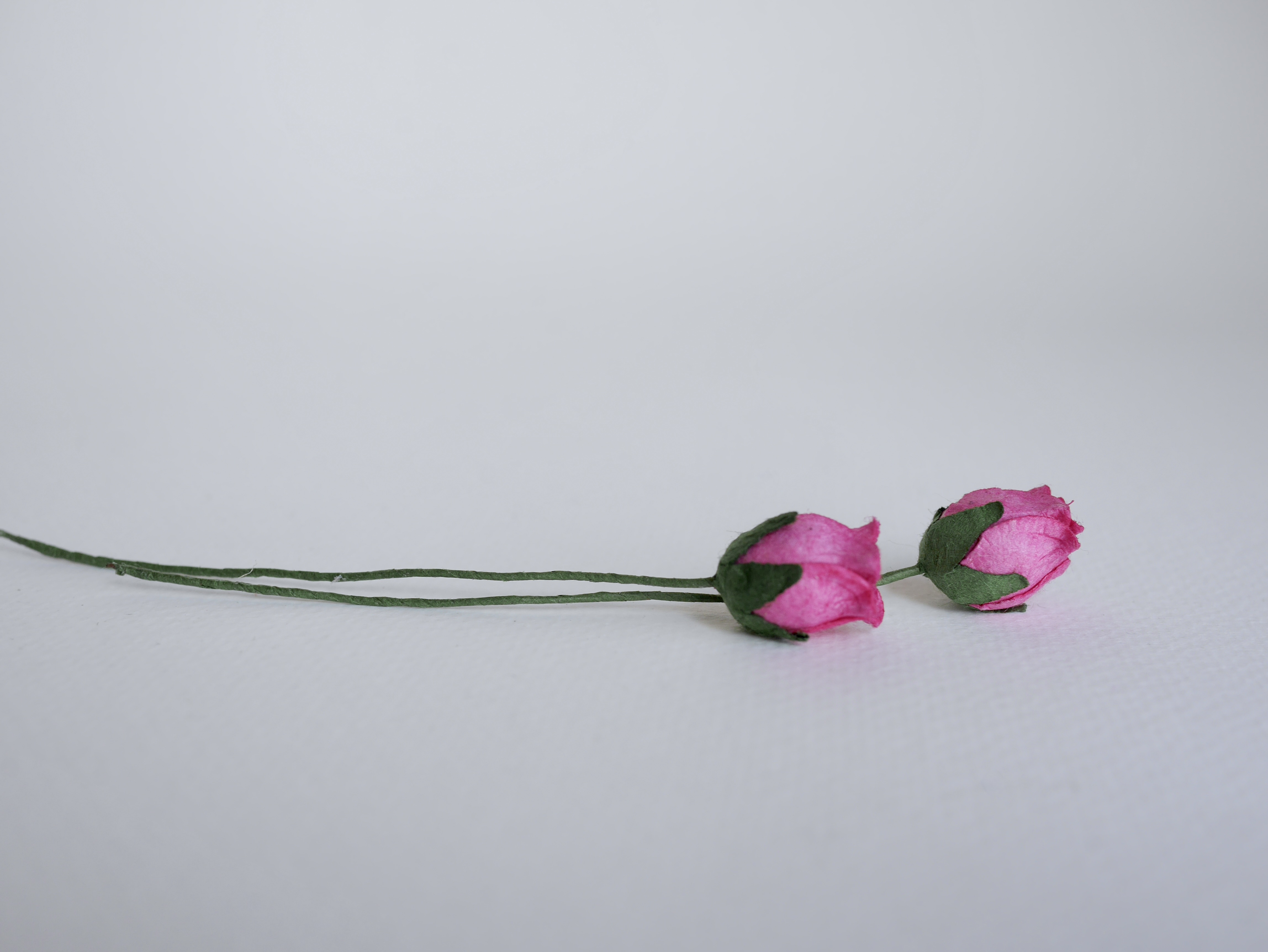 ดอกไม้กระดาษสา ดอกไม้กระดาษสา จตุจักร งานประดิษฐ์ ดอกไม้ทำข้อมือเพื่อนเจ้าสาว แต่งงาน, ดอกกุหลาบตูม 50 ดอก สีชมพูร้อนแรง color ขนาด 1.5 cm. paper flowers, budding roses flower 1.5 cm. 50 pieces. hot pink color.