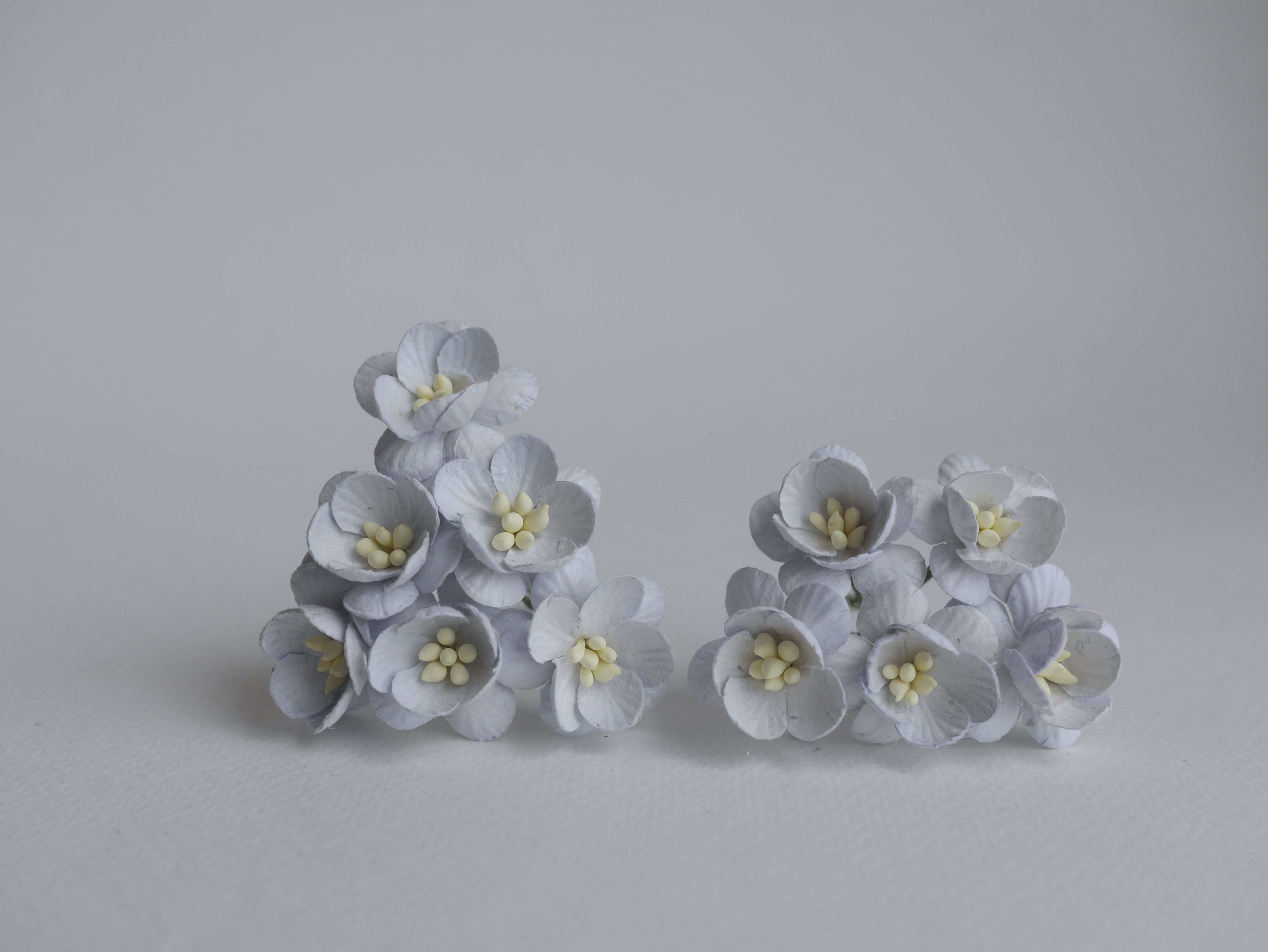 ดอกไม้กระดาษสา ดอกซากุระกระดาษ ขนาดเล็ก ดอกไม้กระดาษสาราคาส่ง ดอกไม้กระดาษสำหรับตกแต่งของชำร่วย งานแต่งงาน ทำช่อดอกไม้ติดอกเจ้าบ่าว ข้อมือดอกไม้เจ้าสาว ขนาด 2.5 cm. 50 ดอก สีเทาฟ้าตุ่น Paper flowers supplies: DIY wedding tools small Cherry blossom (Sakura