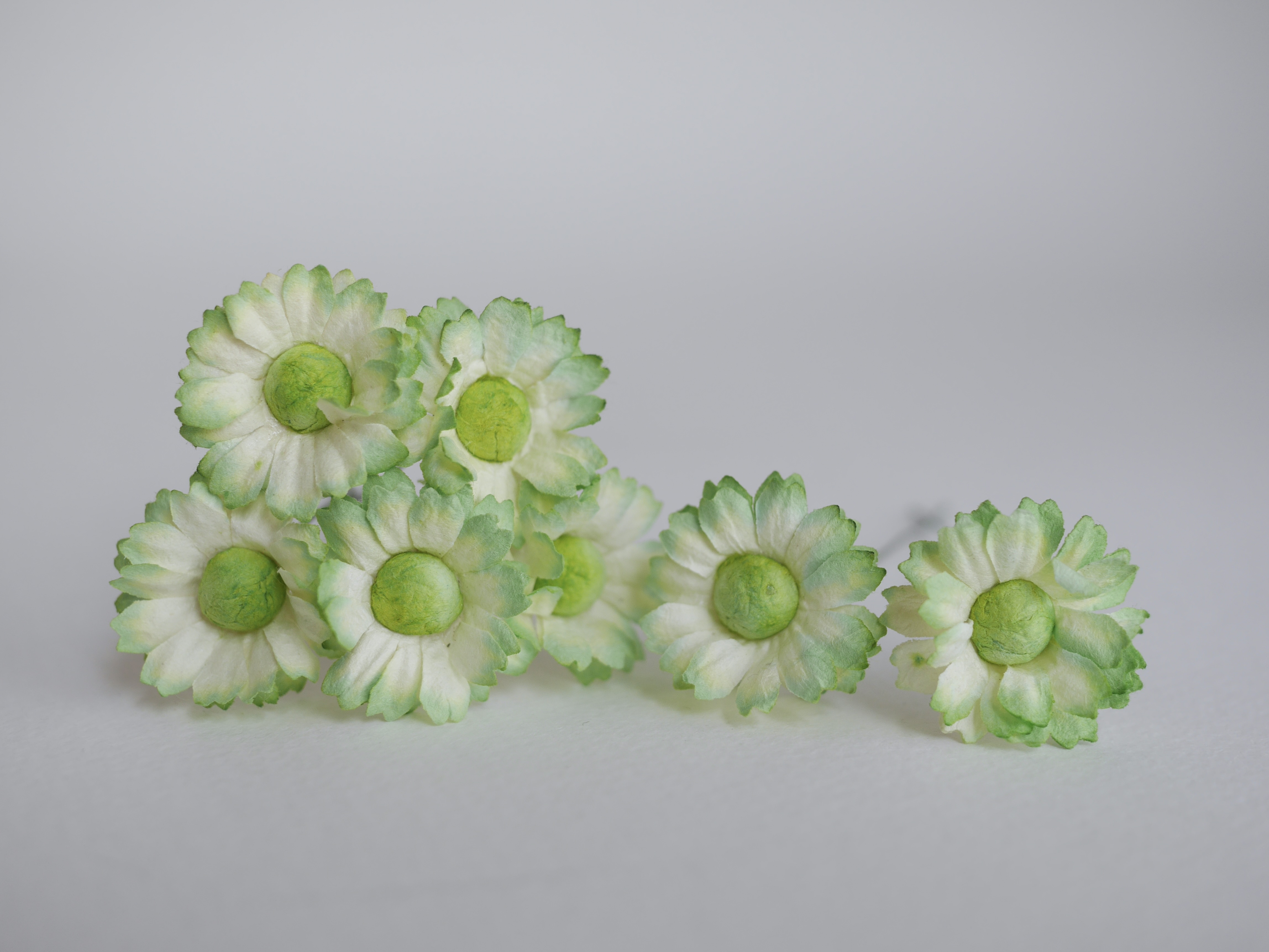 ดอกไม้กระดาษสา ดอกไม้ประดิษฐ์จากกระดาษสา ดอกเดซี่ เกสรสีทอง ดอกไม้กระดาษสาขายส่ง ดอกไม้ประดิษฐ์ ดอกไม้ทำข้อมือเพื่อนเจ้าสาว ดอก daisy ขนาด 3 cm. จำนวน 25 ดอก สีเขียว Paper Flower, 25 Daisy Flowers, green color, size 3 cm., green pollen.