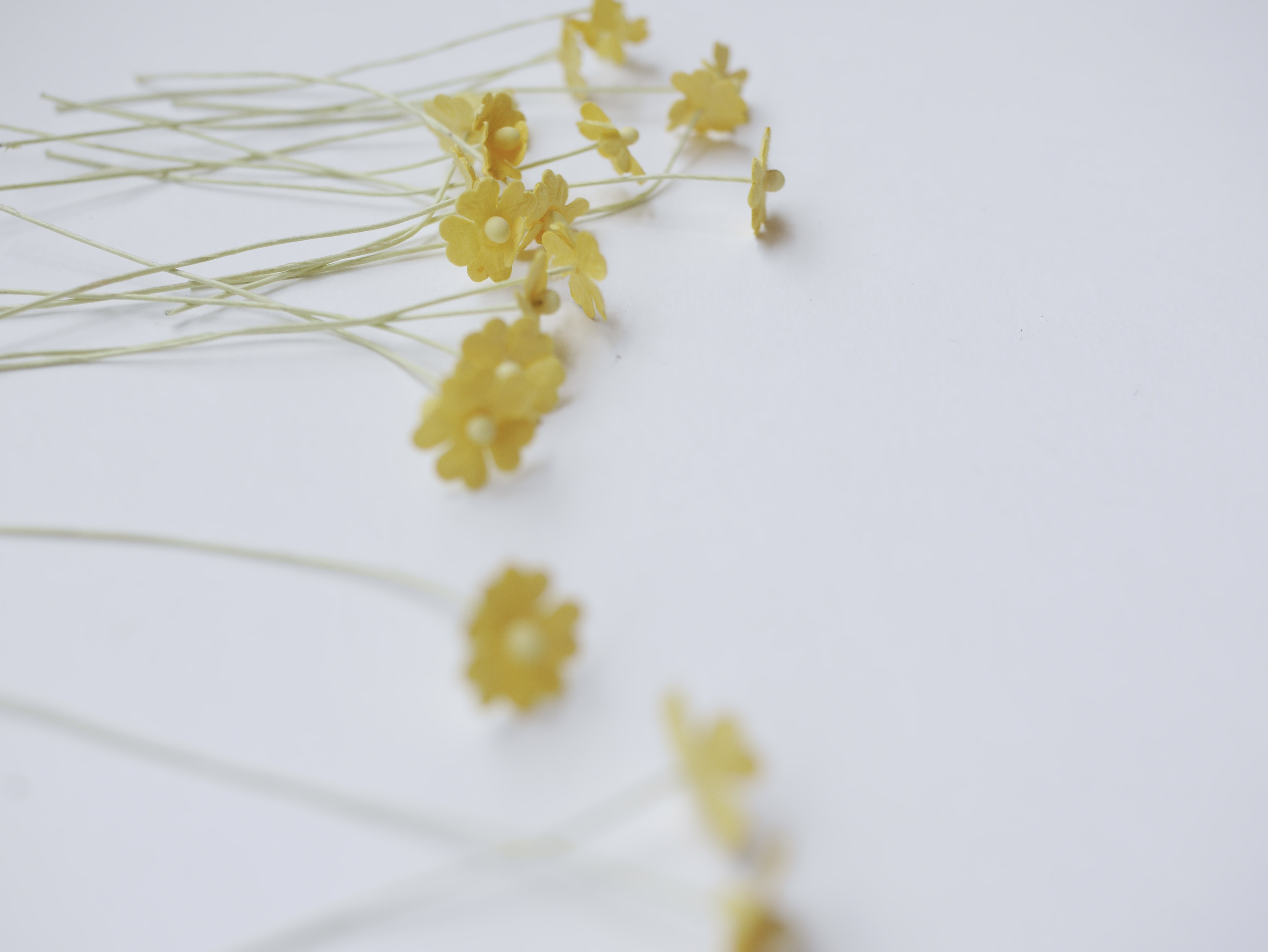 ดอกไม้กระดาษสา ดอกไม้กระดาษสาราคาส่ง ดอกไม้กระดาษสำหรับตกแต่ง งานแต่งงาน หรือติดของชำร่วย ดอกไม้จิ๋ว 100 ดอก ขนาด 1 cm. สีเหลือง Small Paper Flower with stem, , 100 pcs., size 1 cm., small creeping ladies flowers 1 layer, yellow color.