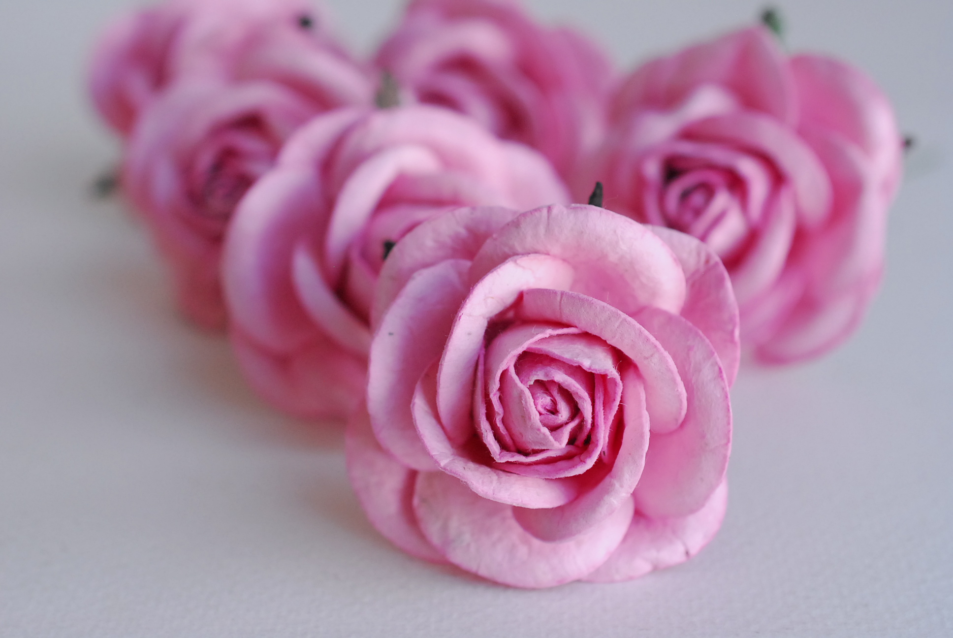 ดอกไม้กระดาษสา ดอกไม้กุหลาบกระดาษ ดอกไม้ประดิษฐ์ งานแต่งงาน ตกแต่งของชำร่วย, งานแต่งงาน สีชมพู ขนา่ด 4.5 cm., Paper flower,20 Pieces mulberry rose, 4.5 cm. pink color.