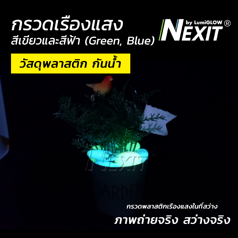Nexit กรวดเรืองแสง กรวดพลาสติกเรืองแสง กันน้ำ สีเขียว/สีฟ้า (เลือกน้ำหนักได้) กรวดตู้ปลา ตกแต่งสวน สวนถาด สวนขวด