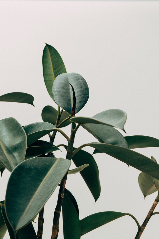 Home Décor Product Artificial Plant