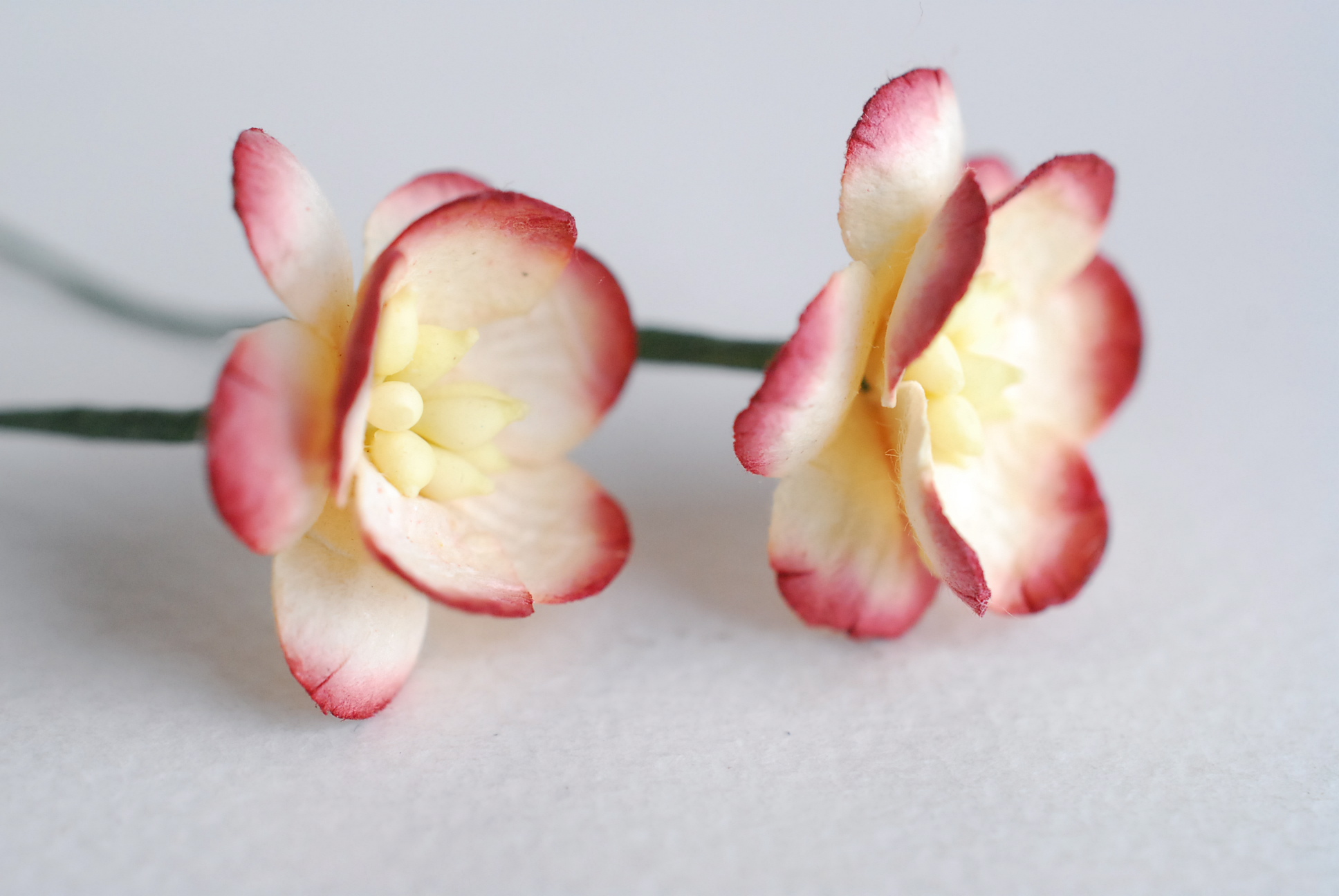 ดอกไม้กระดาษสา ดอกไม้กระดาษสาราคาส่ง ดอกไม้กระดาษสำหรับตกแต่งของชำร่วย งานแต่งงาน ทำช่อดอกไม้ติดอกเจ้าบ่าว ข้อมือดอกไม้เจ้าสาว ขนาด2.5 cm. 50 ดอก Paper flowers supplies: DIY wedding tools Cherry blossom (Sakura) 50 pcs. size 2.5 cm. Ivory brush dark red c