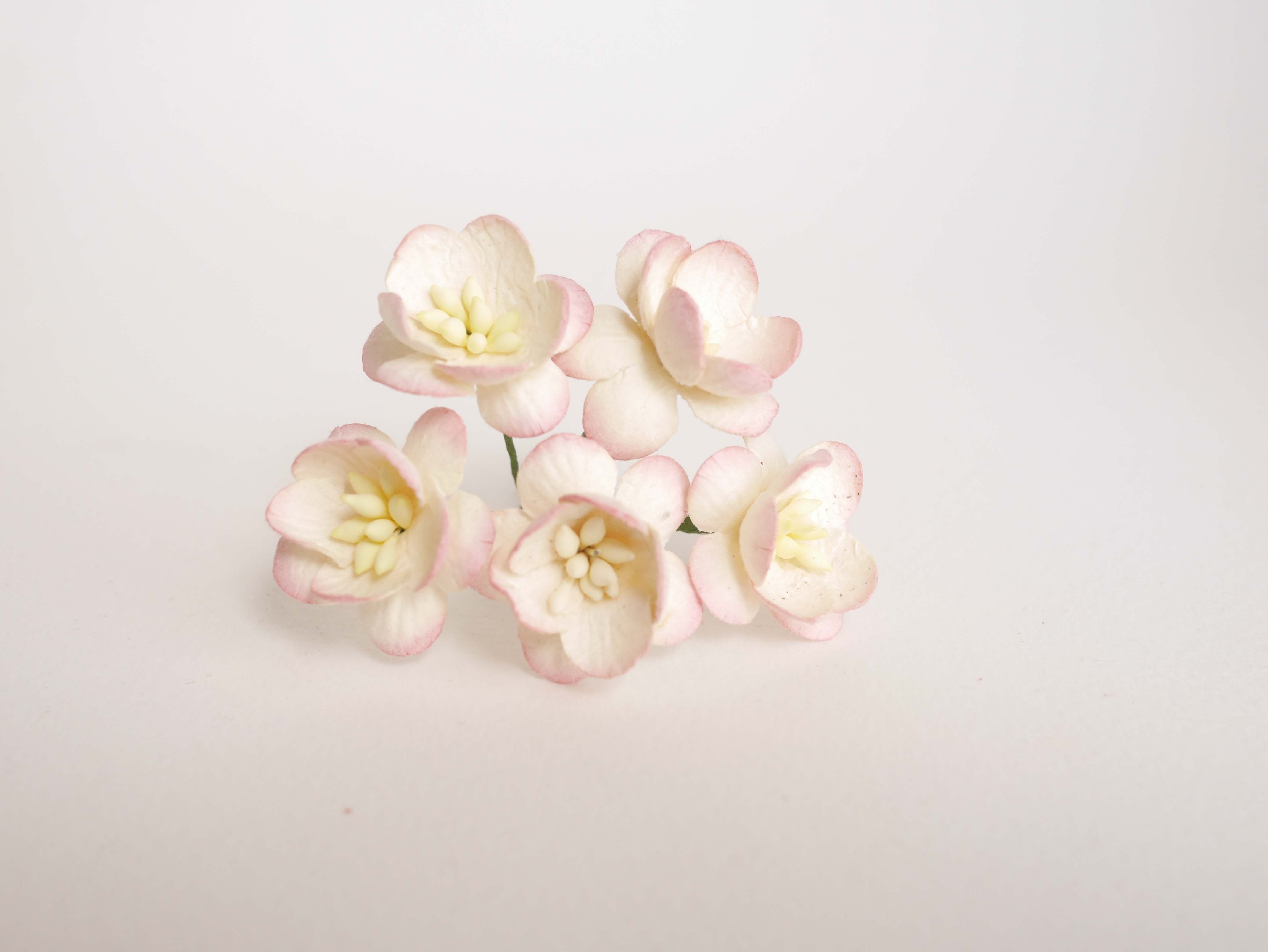 ดอกไม้กระดาษสา ดอกซากุระกระดาษ ดอกไม้กระดาษสาราคาส่ง ดอกไม้กระดาษสำหรับตกแต่งของชำร่วย งานแต่งงาน ทำช่อดอกไม้ติดอกเจ้าบ่าว ข้อมือดอกไม้เจ้าสาว ขนาด2.5 cm. 50 ดอก สีเบอรี่ปัดครีม Paper flowers supplies: DIY wedding tools Cherry blossom (Sakura) 50 pcs. siz