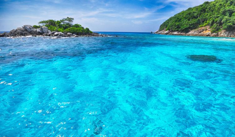 ทัวร์เกาะราชาน้อย เกาะราชาใหญ่ ดูโลมารอบเกาะไม้ท่อน