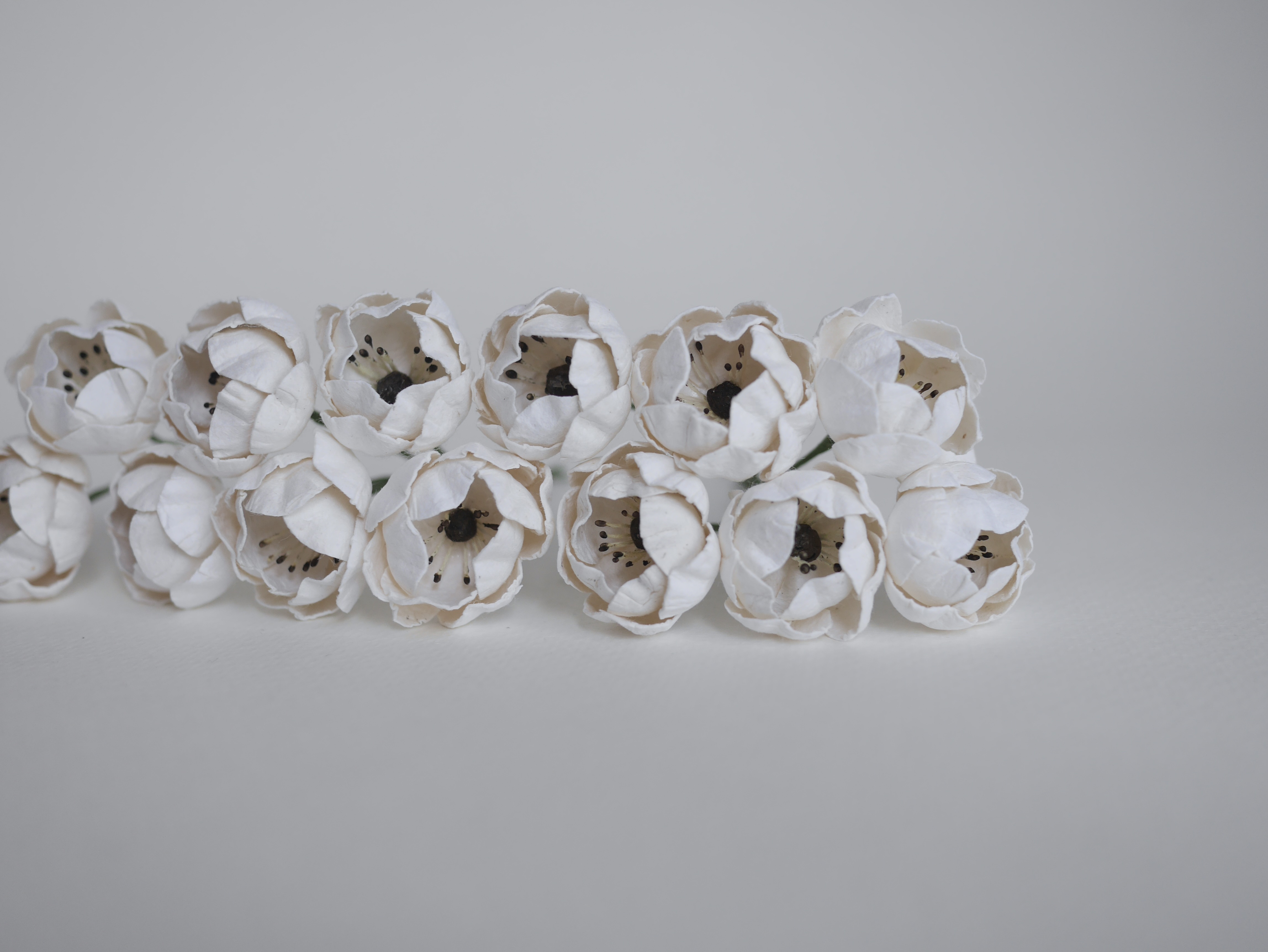 ดอกกุหลาบกระดาษสา peony ดอกไม้กระดาษสาราคาส่ง, ดอกไม้กระดาษ,ดอกไม้ประดิษฐ์ สำหรับตกแต่งของชำร่วย งานแต่งงาน ดอกกุหลาบกลม peony ขนาด 3.5 cm. จำนวน 25 ดอก, สีขาว เกสรสีดำ Paper Flowers, Peony flowers supplies size 3.5cm./ 25 pieces, handmade flower