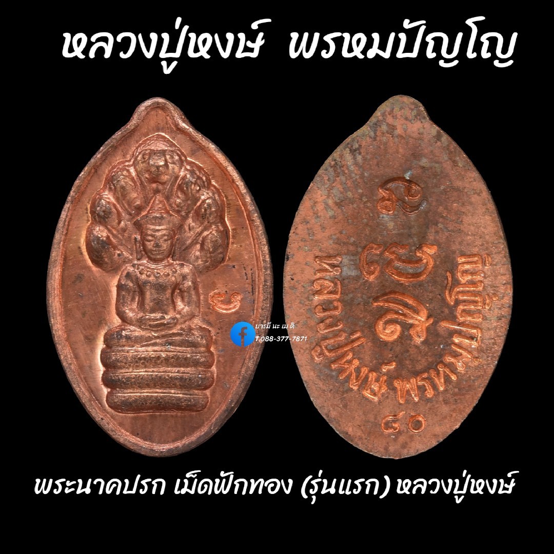 พระนาคปรก เม็ดฟักทอง(รุ่นแรก) หลวงปู่หงษ์ พรหมปัญโญ