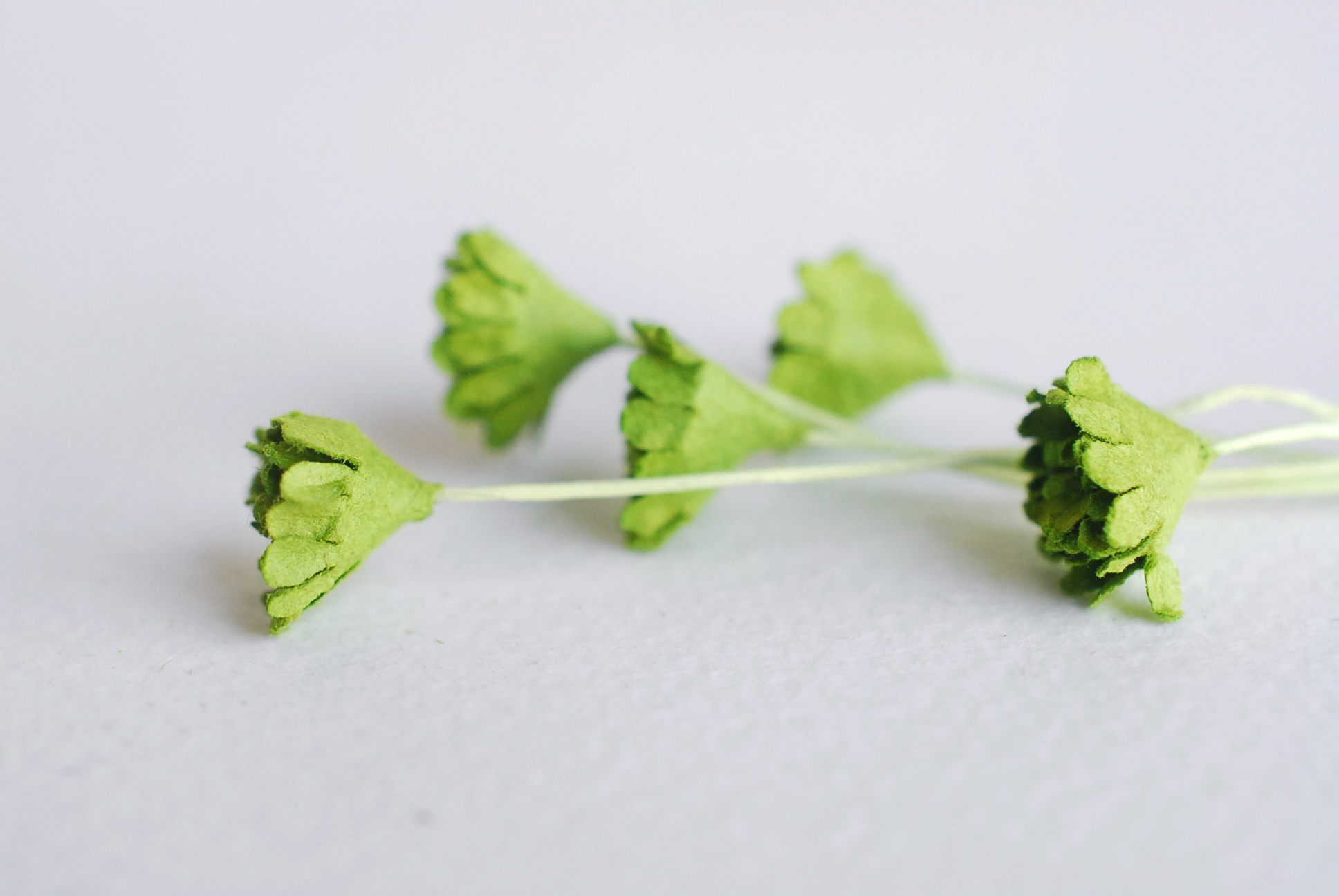 ดอกไม้เขียวทำพานพุ่ม ดอกกะเบง ดอกไม้ประดิษฐ์, ดอกไม้กระดาษสา, ดอก gypsophila, ดอกยิปโซ งานประดิษฐ์ตกแต่งของชำร่วย, ,พานพวงมาลัย, พานรับไหว้, ขนาด 1 cm. สีเขียว 20 ถุง