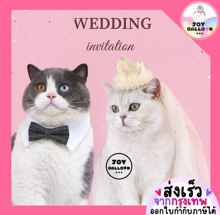 พร้อบถ่ายรูปสัตว์เลี้ยง แมว สุนัข น้องหมา พร้อบถ่ายรูปแต่งงาน มงกุฎเจ้าหญิง Happy Wedding (ส่งเร็วจากกุรงเทพ) งานแต่งแมว หูกระต่าย