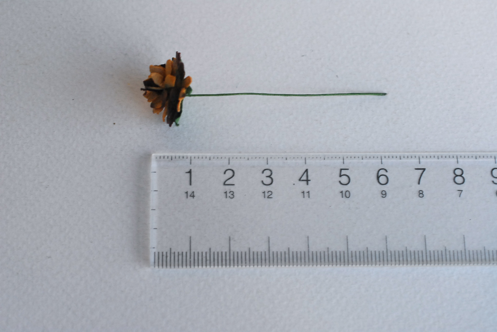 ดอกไม้ประดิษฐ์, ดอกไม้กระดาษสา, ดอก gypsophila, ดอกยิปโซ งานประดิษฐ์ตกแต่งของชำร่วย, ดอกไาด 1.5 cmม้ทำพานพุ่ม,พานพวงมาลัย, พานรับไหว้, ขันหมาก. สีน้ำตาลไหม้ปัด