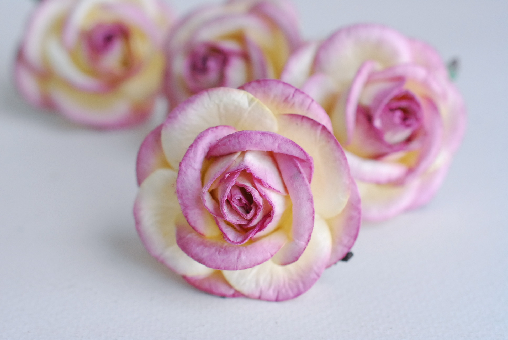 ดอกไม้กระดาษสา ขนา่ด 4.5 cm., สำหรับของชำร่วย, งานแต่งงาน,สีชมพูม่วงปัดสีครีม Paper flower,20 Pieces mulberry rose, 4.00 cm. berry brush ivorycolor.