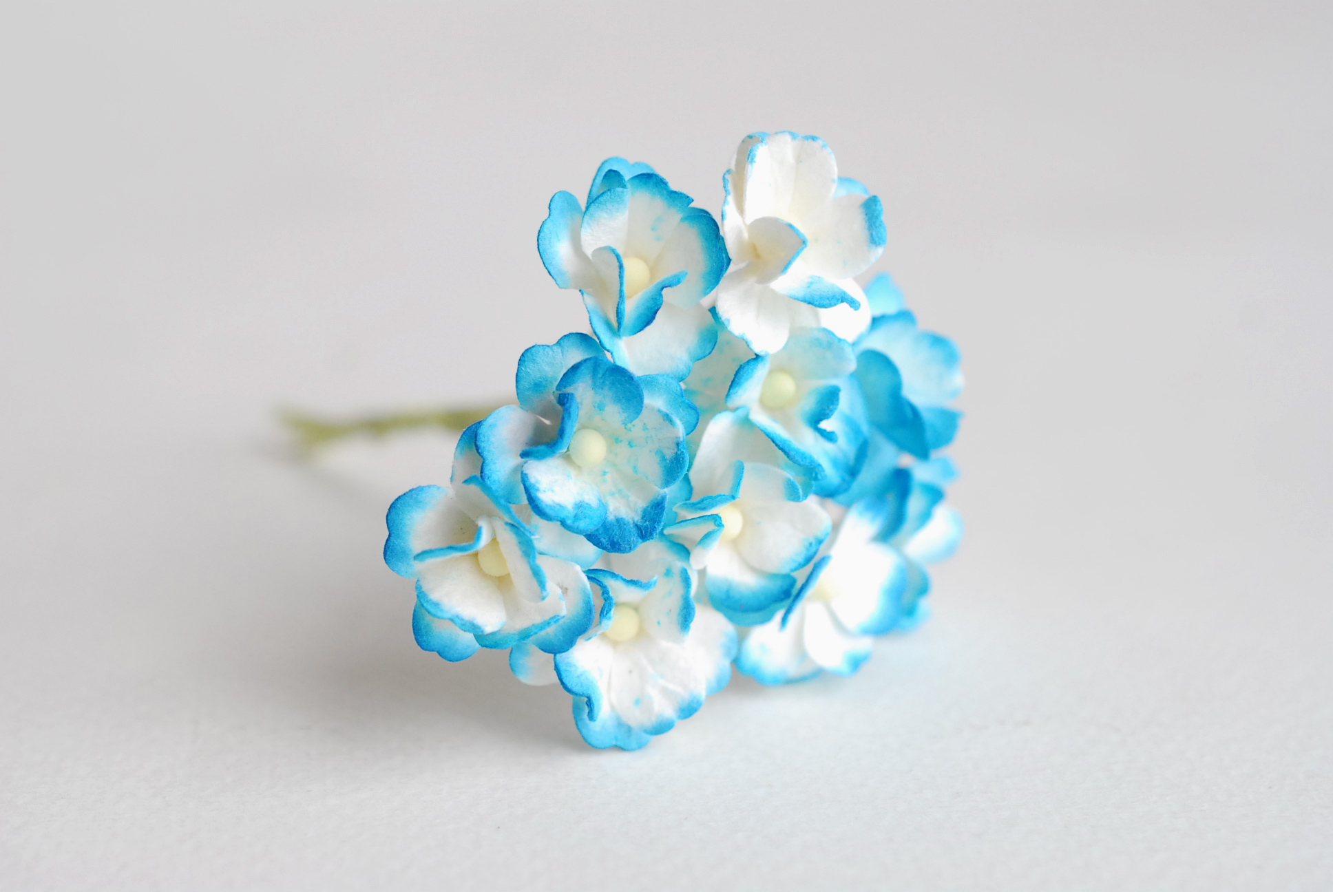 ดอกไม้กระดาษสา ราคาส่ง, ดอกไฮเดรนเยียกระดาษสา ดอกไม้ประดิษฐ์ ตกแต่งงานแต่งงาน ประดิษฐ์ข้อมือเพื่อนเจ้าสาว ขนา่ด 1.5 cm., สำหรับของชำร่วย, งานแต่งงาน, ดอกไม้ทำข้อมือเจ้าสาว สีฟ้าปัดขาว blue sky brush white จำนวน 100 ดอก Paper flower,100 Pieces mulberry hyd