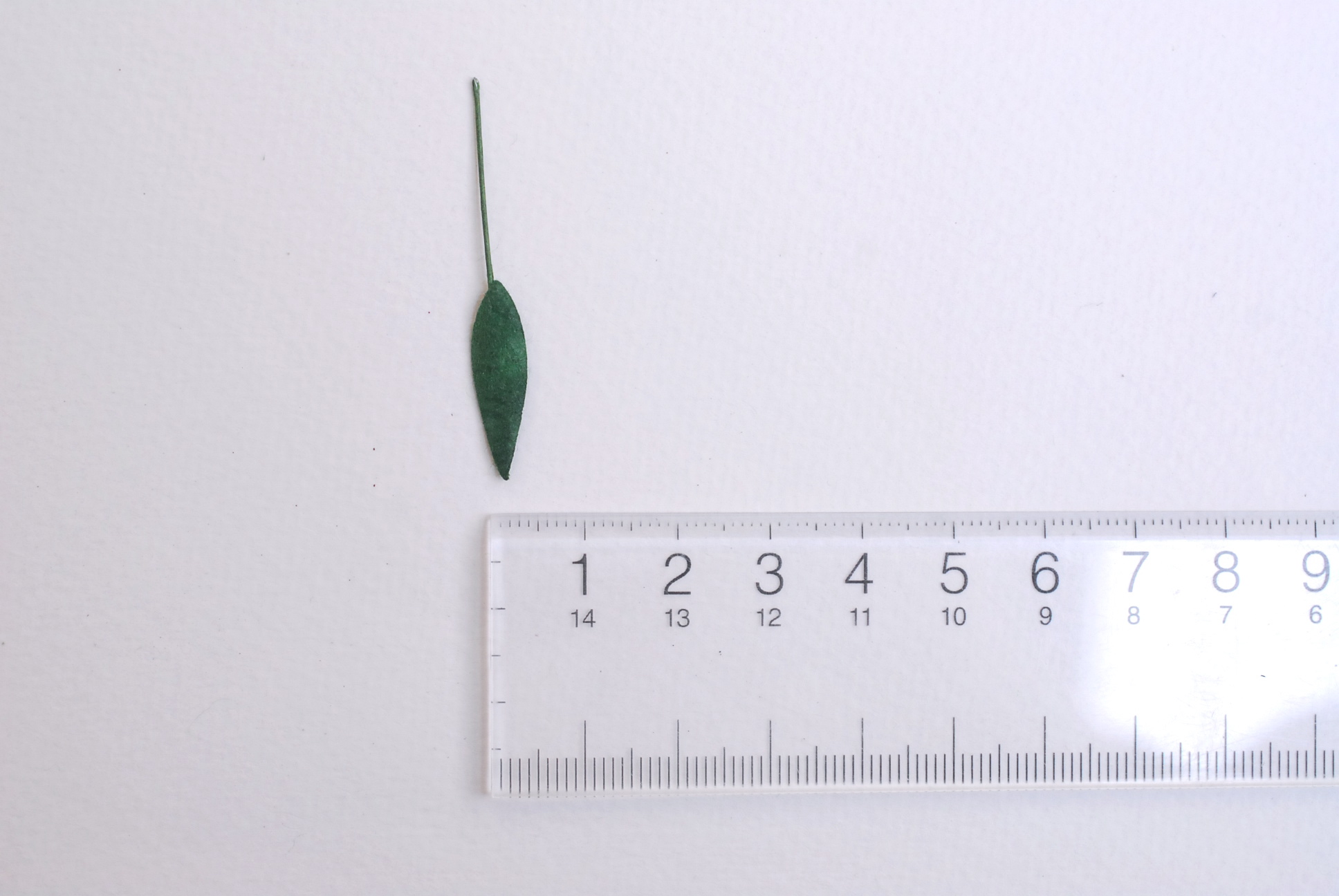 ใบไม้กระดาษ ใบไม้กระดาษสา ราคาส่ง,ใบไม่้กุหลาบกระดาษ สำหรับดอกมะลิกระดาษสา ใบไม้ประดิษฐ์ สำหรับตกแต่ง หรืองานแต่งงาน สีเขียวเข้ม rosemary ขนาด 1.00x2.5 cm. จำนวน 100 ใบ