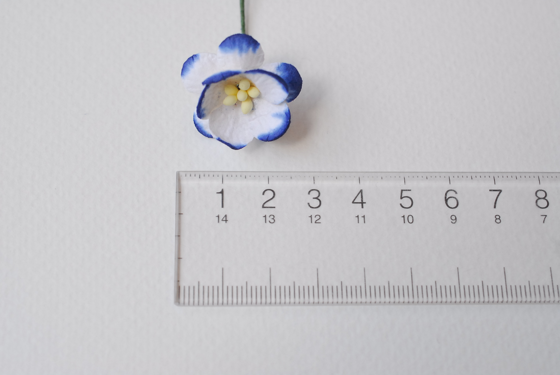 ดอกไม้กระดาษสา ดอกซากุระกระดาษ ดอกไม้กระดาษสาราคาส่ง ดอกไม้กระดาษสำหรับตกแต่งของชำร่วย งานแต่งงาน ทำช่อดอกไม้ติดอกเจ้าบ่าว ข้อมือดอกไม้เจ้าสาว ขนาด2.5 cm. 50 ดอก สีน้ำเงินกรมท่าปัดขาว Paper flowers supplies: DIY wedding tools Cherry blossom (Sakura) 50 pc