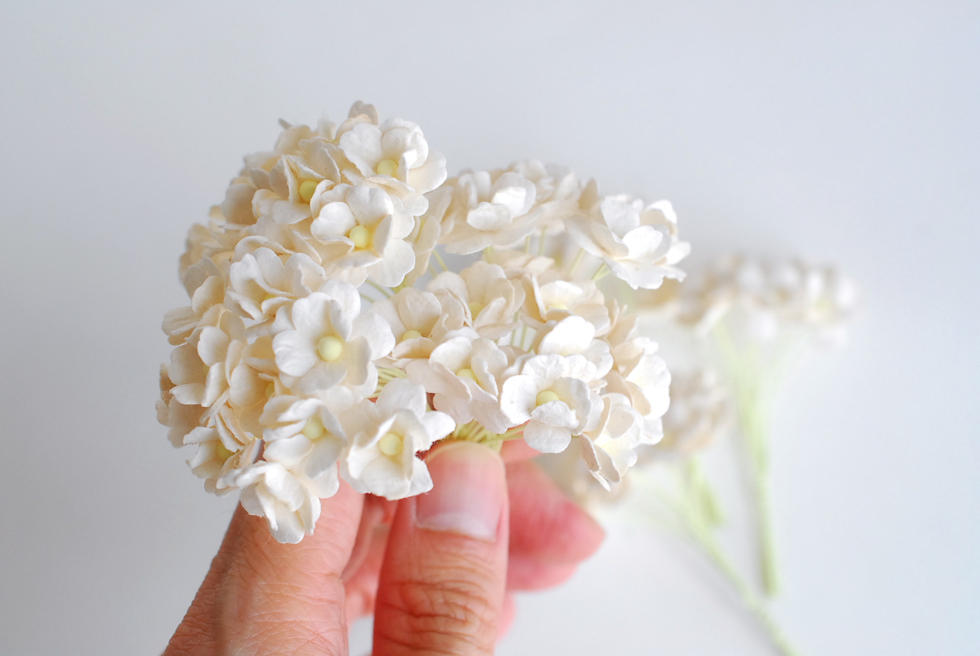 ดอกไม้กระดาษสา ราคาส่ง, ดอกไฮเดรนเยียกระดาษสา ดอกไม้ประดิษฐ์ ตกแต่งงานแต่งงาน ประดิษฐ์ข้อมือเพื่อนเจ้าสาว ขนา่ด 1.5 cm., สำหรับของชำร่วย, งานแต่งงาน, ดอกไม้ทำข้อมือเจ้าสาว สีขาวอ๊อฟไวท์ จำนวน 100 ดอก Paper flower,100 Pieces mulberry hydenyia, ofwhite colo