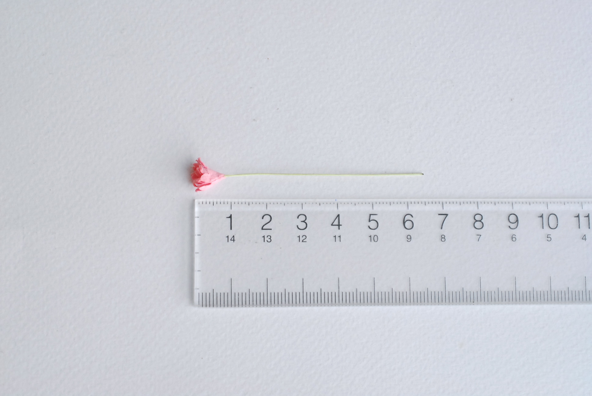 ดอกไม้ประดิษฐ์, ดอกไม้กระดาษสา, ดอก gypsophila, ดอกยิปโซ งานประดิษฐ์ตกแต่งของชำร่วย, ดอกไม้ทำพานพุ่ม, พานรับไหว้, ขนาด0.8 cm. สีพีชชมพู