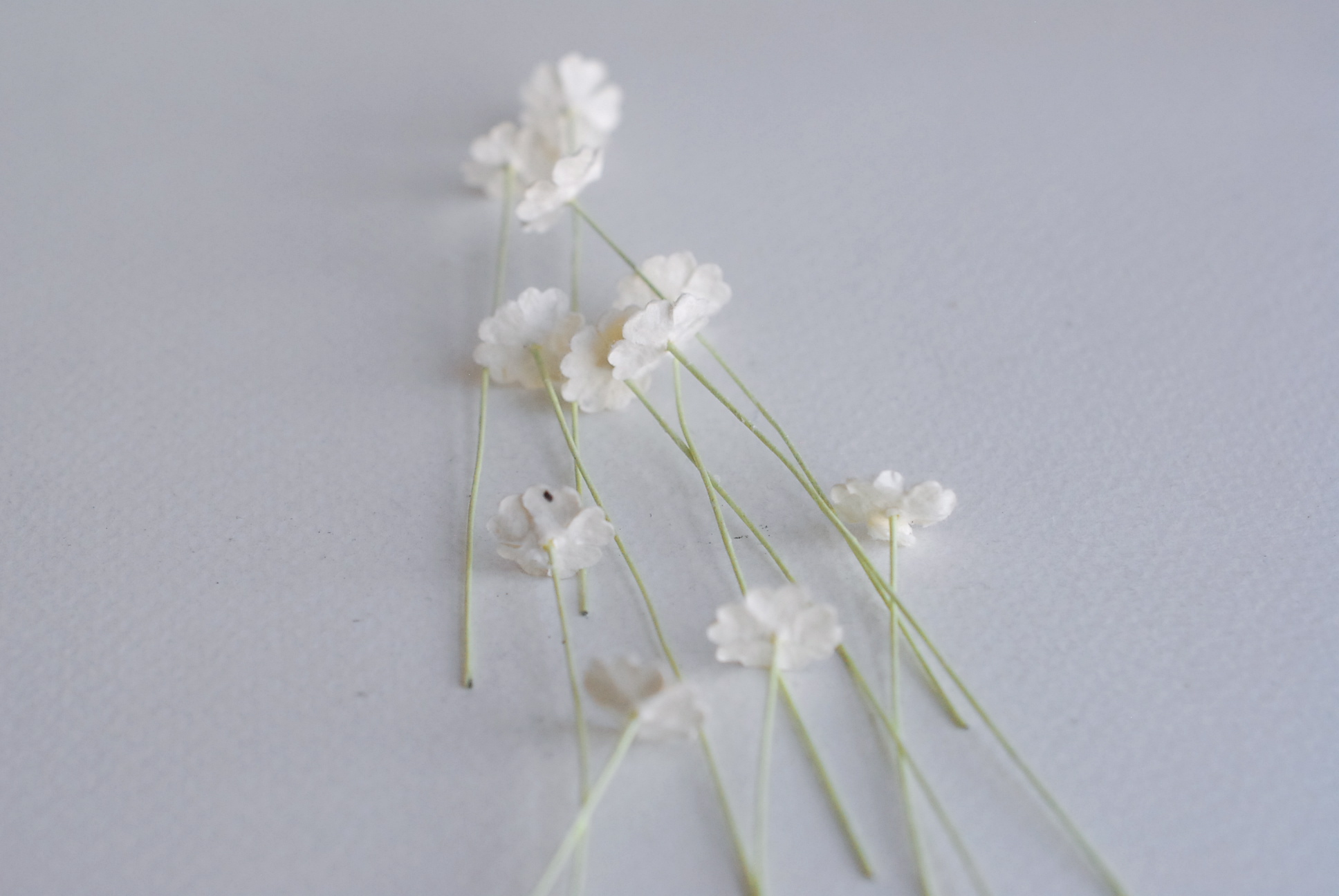 ดอกไม้กระดาษสา ดอกไม้กระดาษสาราคาส่ง ดอกไม้กระดาษสำหรับตกแต่ง งานแต่งงาน หรือติดของชำร่วย ดอกไม้จิ๋ว 100 ดอก ขนาด 1 cm. สีขาว of-white Small Paper Flower with stem, , 100 pcs., size 1 cm., small creeping ladies flowers 1 layer, of-white color.