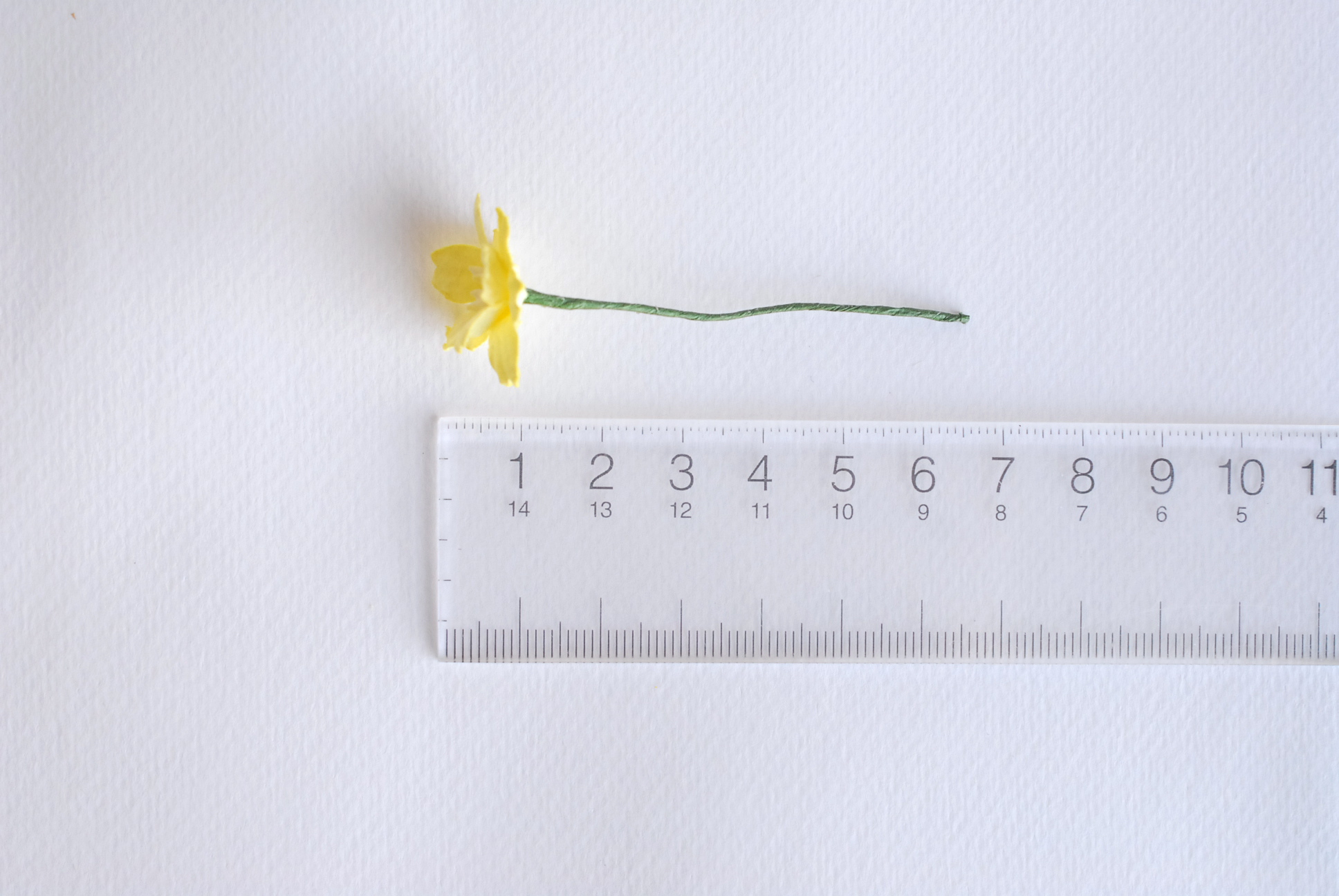 ดอกไม้กระดาษสา ดอกซากุระกระดาษ ขนาดเล็ก ดอกไม้กระดาษสาราคาส่ง ดอกไม้กระดาษสำหรับตกแต่งของชำร่วย งานแต่งงาน ทำช่อดอกไม้ติดอกเจ้าบ่าว ข้อมือดอกไม้เจ้าสาว ขนาด2.0 cm. 50 ดอก สีเหลือง Paper flowers supplies: DIY wedding tools small Cherry blossom (Sakura) 50