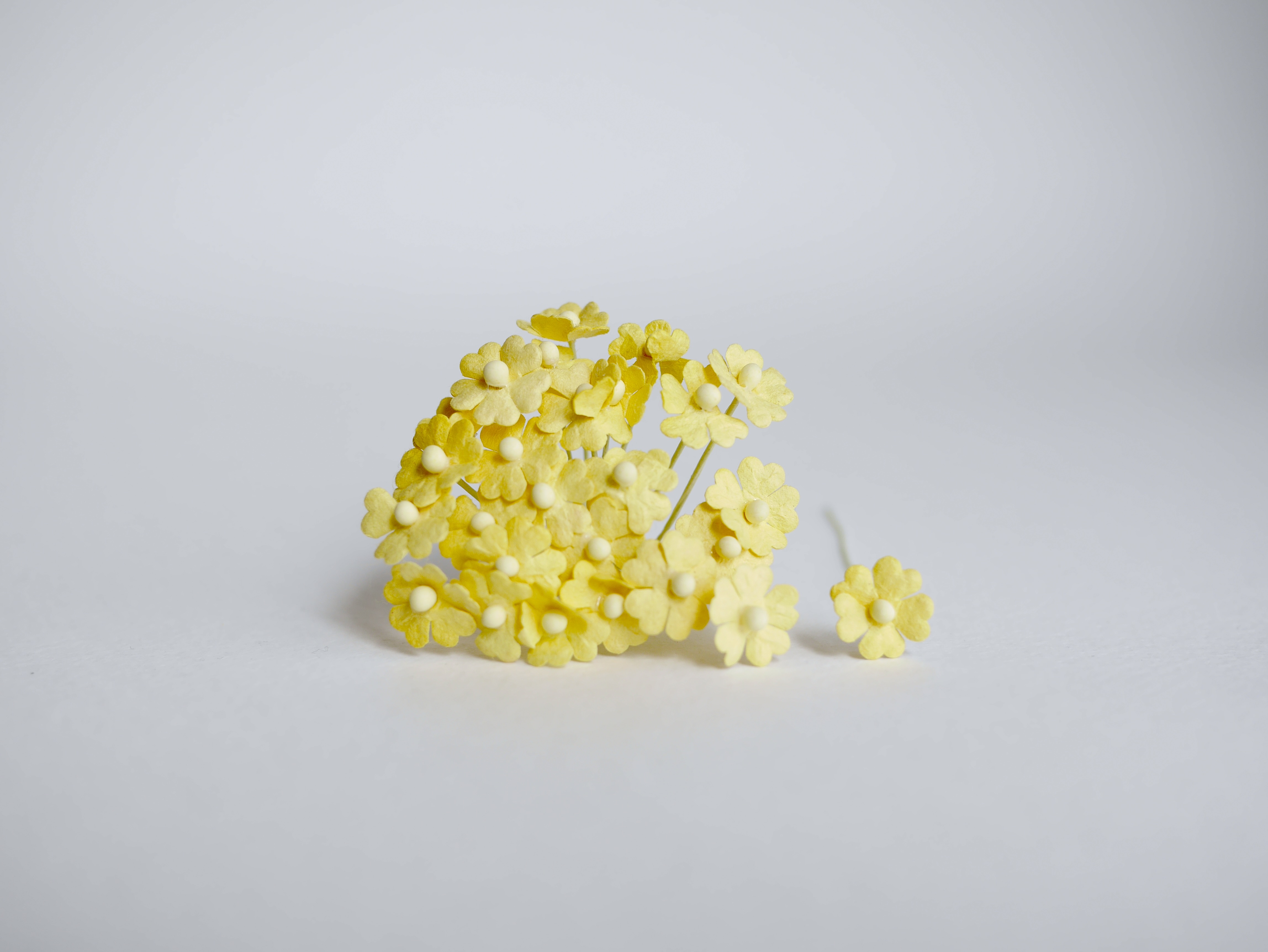 ดอกไม้กระดาษสา ดอกไม้กระดาษสาราคาส่ง ดอกไม้กระดาษสำหรับตกแต่ง งานแต่งงาน หรือติดของชำร่วย ดอกไม้จิ๋ว 100 ดอก ขนาด 1 cm. สีเหลือง Small Paper Flower with stem, , 100 pcs., size 1 cm., small creeping ladies flowers 1 layer, yellow color.