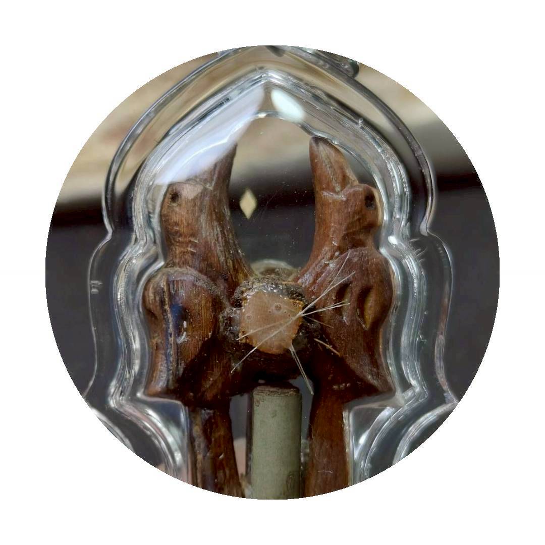 สาริกาไม้มะยม หลวงปู่หงษ์ พรหมปัญโญ