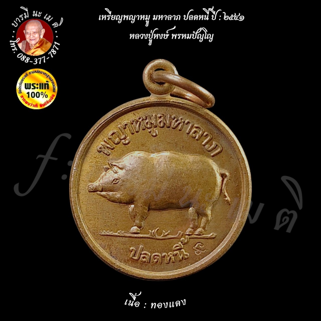 เหรียญพญาหมู มหาลาภ ปลดหนี้ เนื้อ : ทองแดง