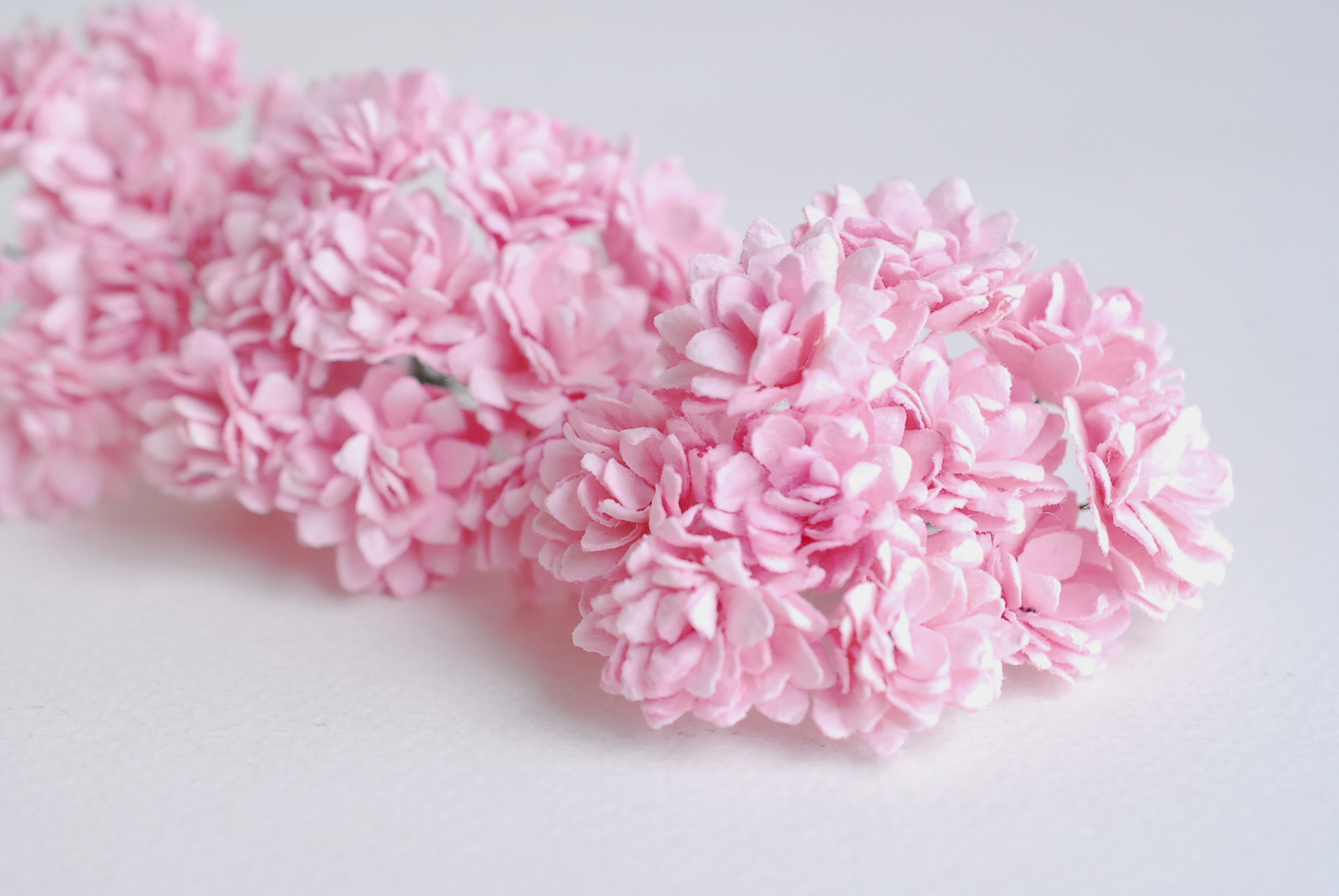 ดอกไม้ประดิษฐ์, ดอกไม้กระดาษสา, ดอก gypsophila, ดอกยิปโซ งานประดิษฐ์ตกแต่งของชำร่วย, ดอกไม้ทำพานพุ่ม,พานพวงมาลัย, พานรับไหว้, ขนาด 2 cm. สีชมพู