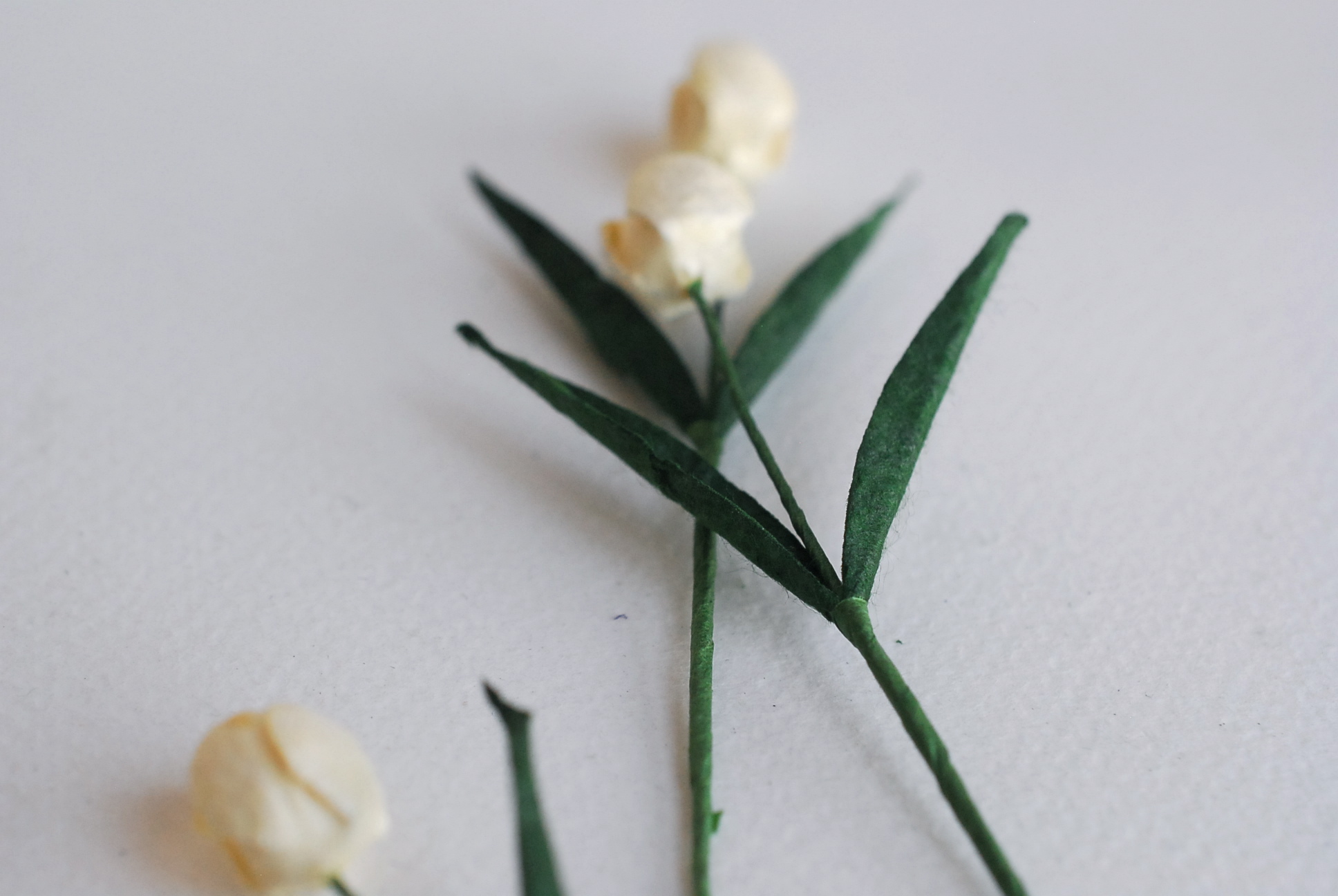 ดอกไม้ประดิษฐ์, ดอกไม้กระดาษสา, ดอกtulips, ดอกทิวลิปส์, ก้านสีเขียว เกสรสีขาว งานประดิษฐ์ตกแต่งของชำร่วย,ทำการ์ดรับเชิญ,ช่อดอกไม้ขนาดเล็ก, ขนาด 1.5 cm. สีขาวครีม