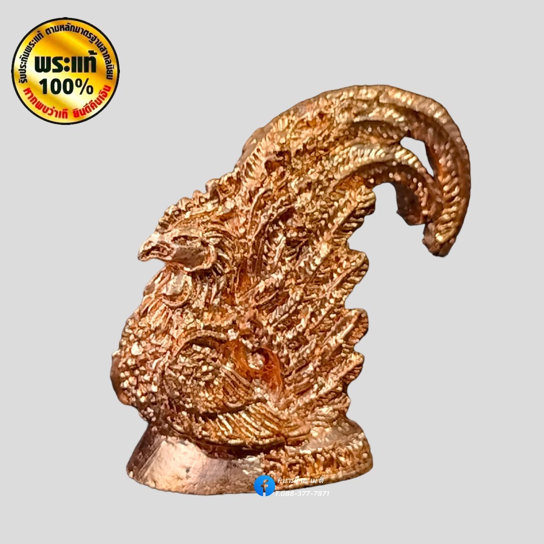 พญาไก่ โชคดี หลวงพ่อรวย ปาสาทิโก วัดตะโก